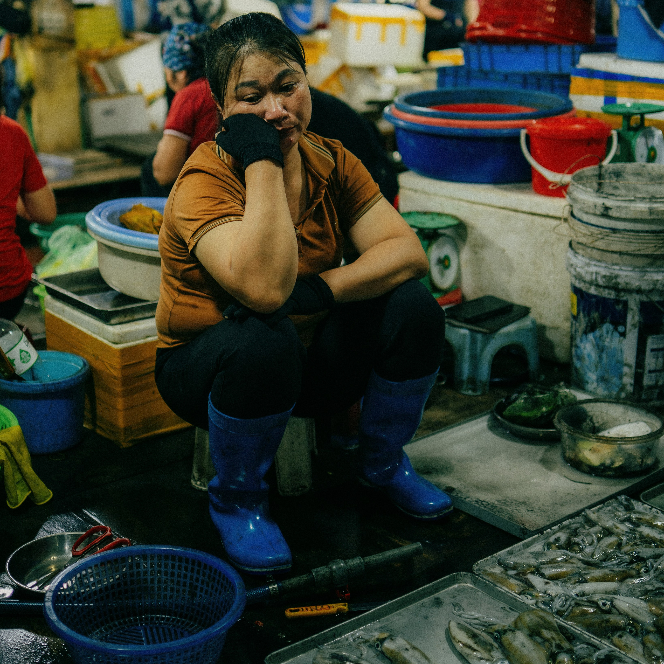 Cat Ba. Lifestyle and wedding photographer in Dubai Valeria Kikvidze