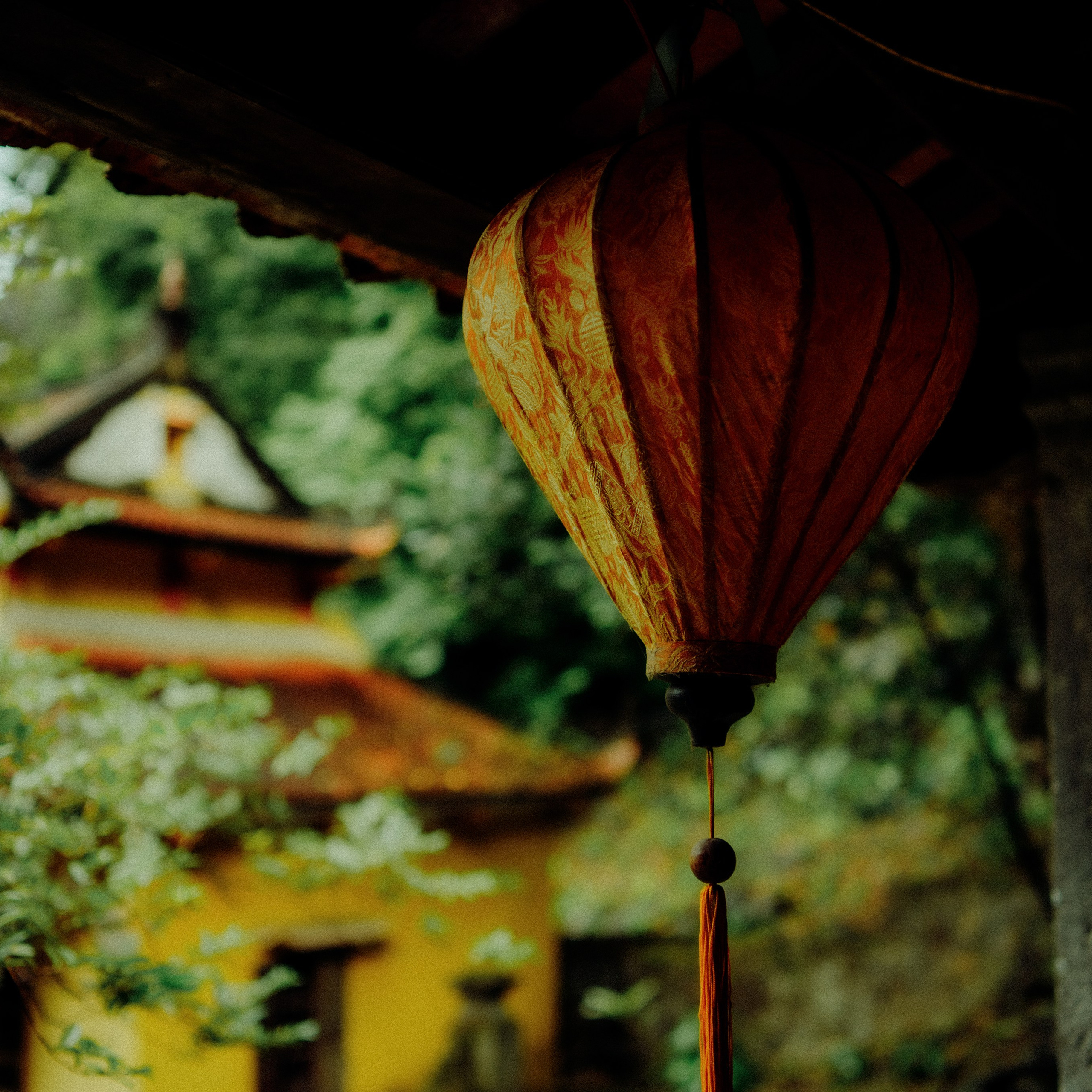 Ninh Binh. Lifestyle and wedding photographer in Dubai Valeria Kikvidze