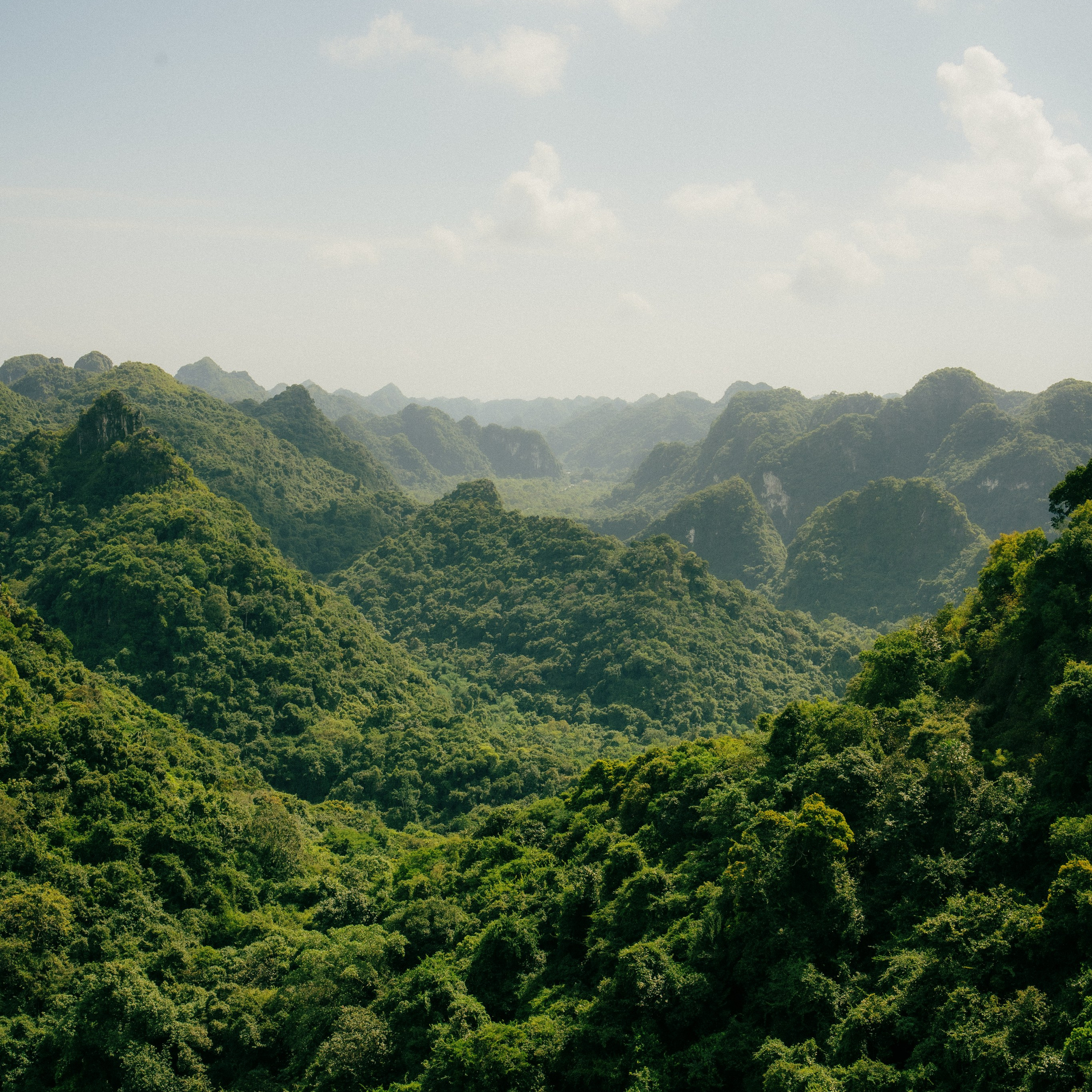 Cat Ba. Lifestyle and wedding photographer in Dubai Valeria Kikvidze