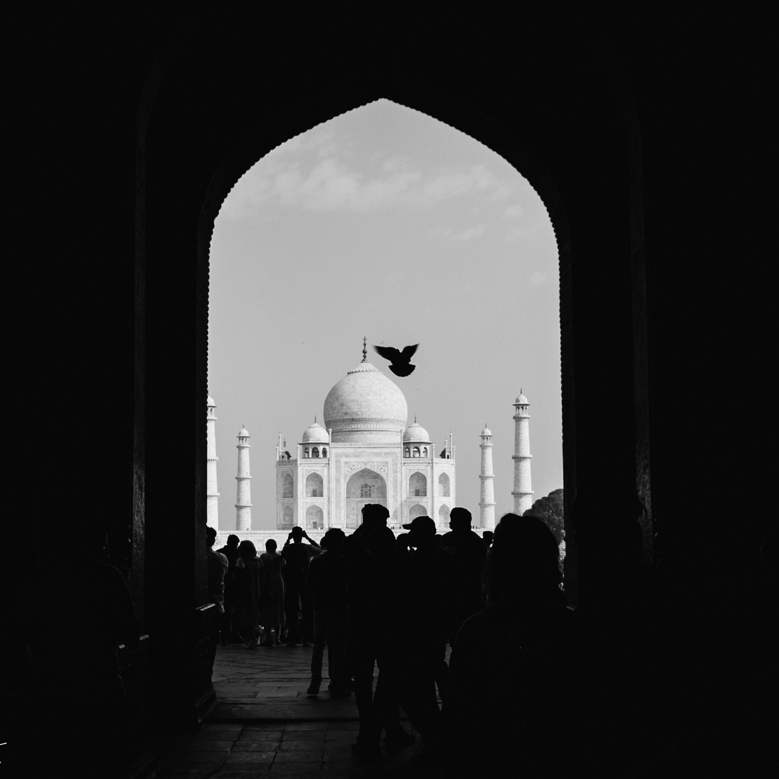 Taj Mahal. Lifestyle and wedding photographer in Dubai Valeria Kikvidze
