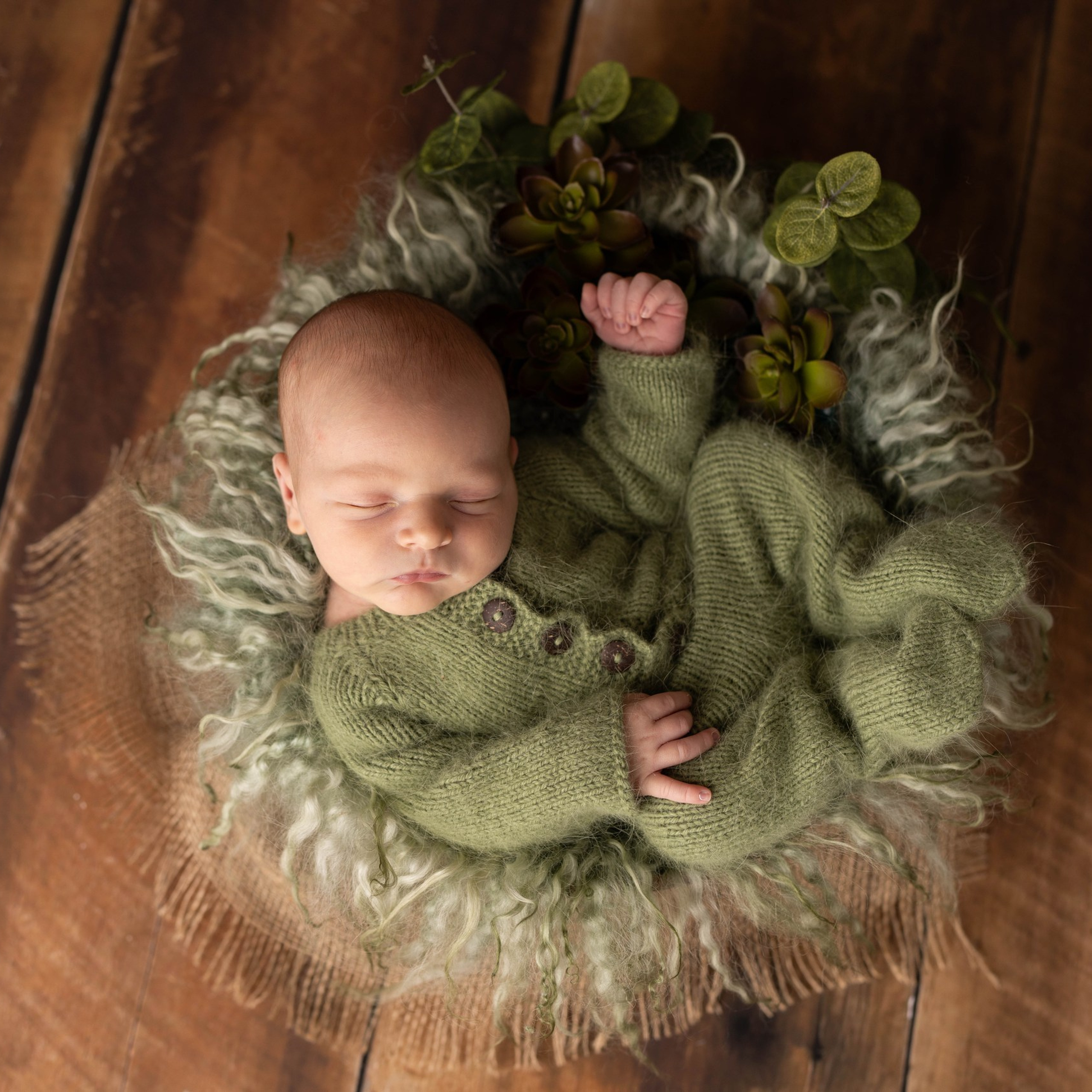 Reviews. JaneProPhoto | Tampa Newborn Photographer
