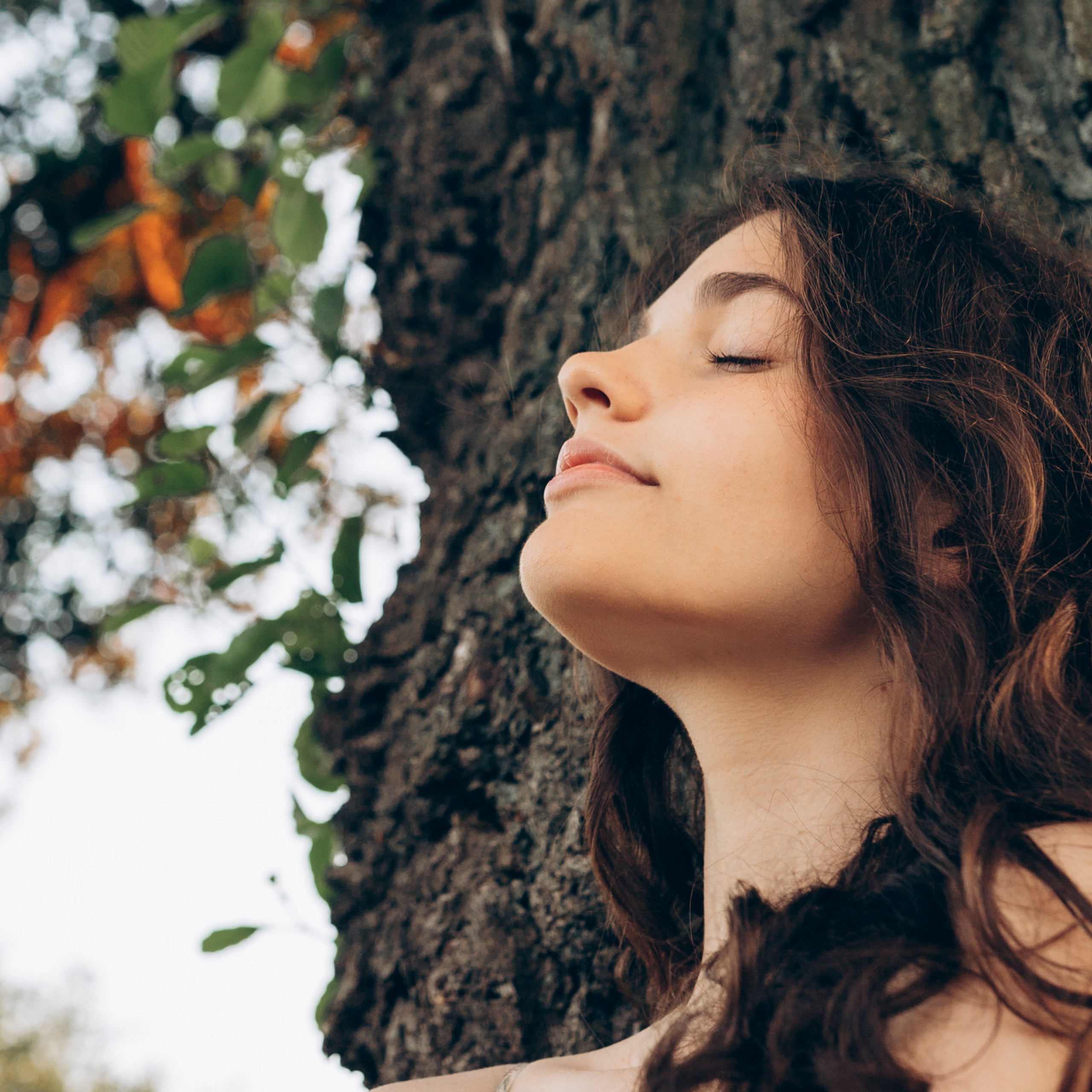 Під звуки тишини