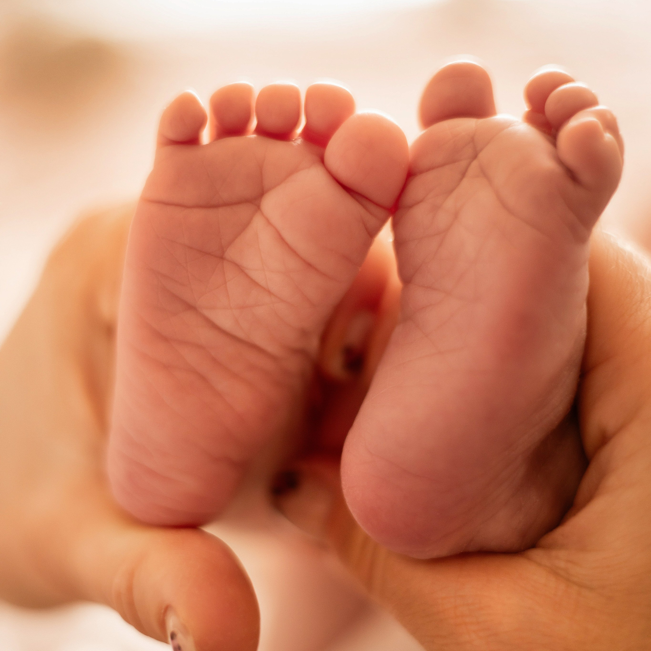 Reviews and recommendations. Bay Area Photographer: family, maternity, love story, wedding