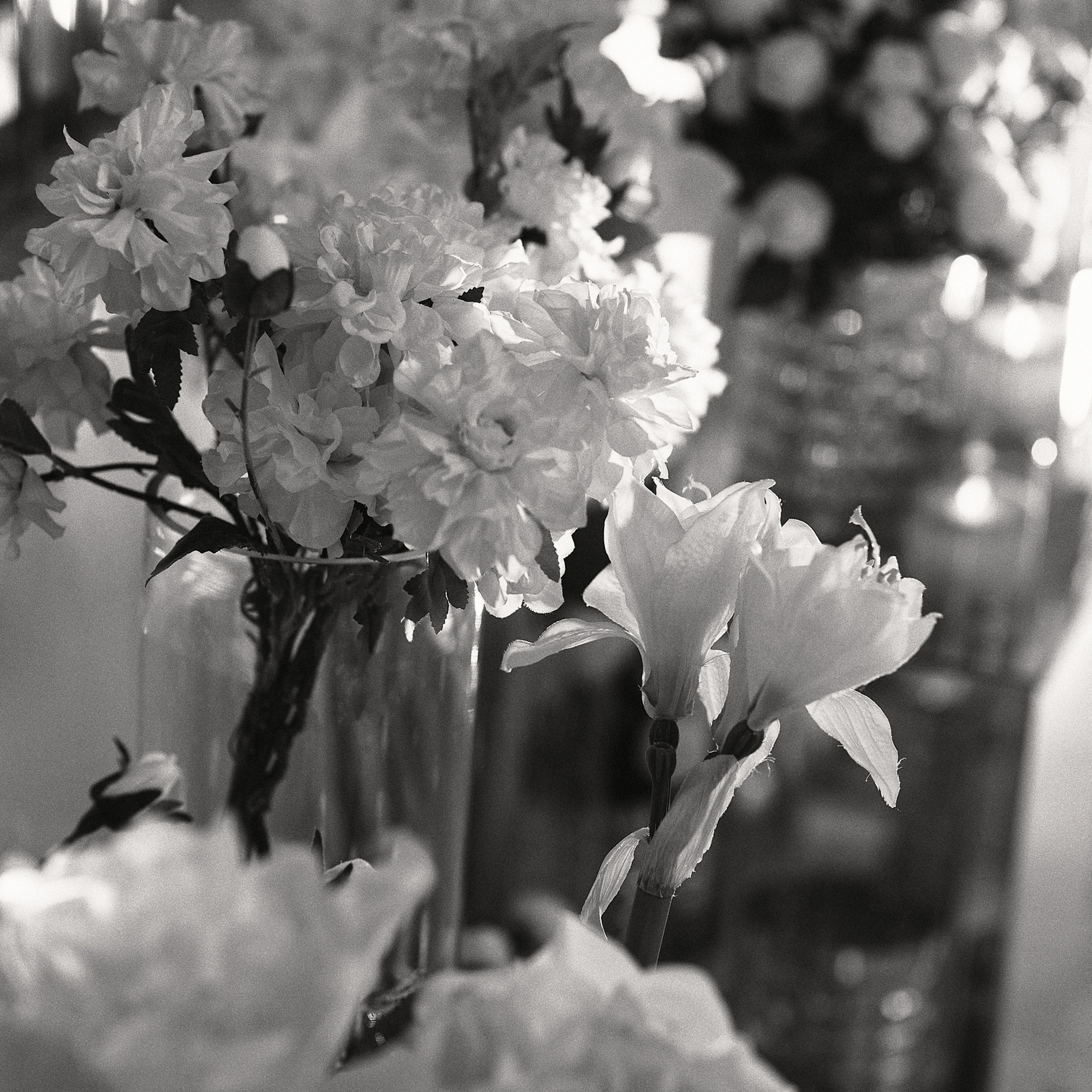 Отзывы. Валерия Вартанова. Фотограф