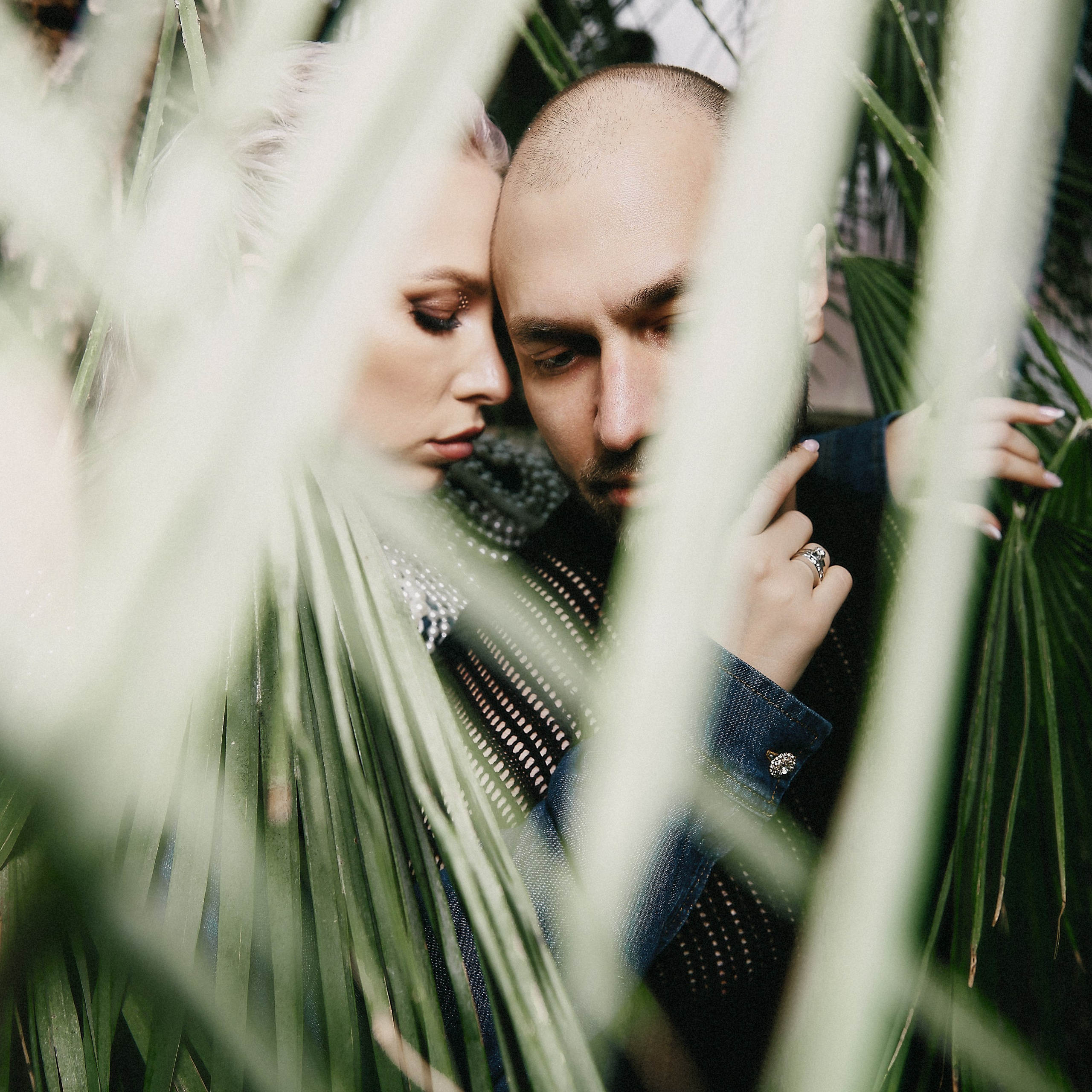 Тропическая история