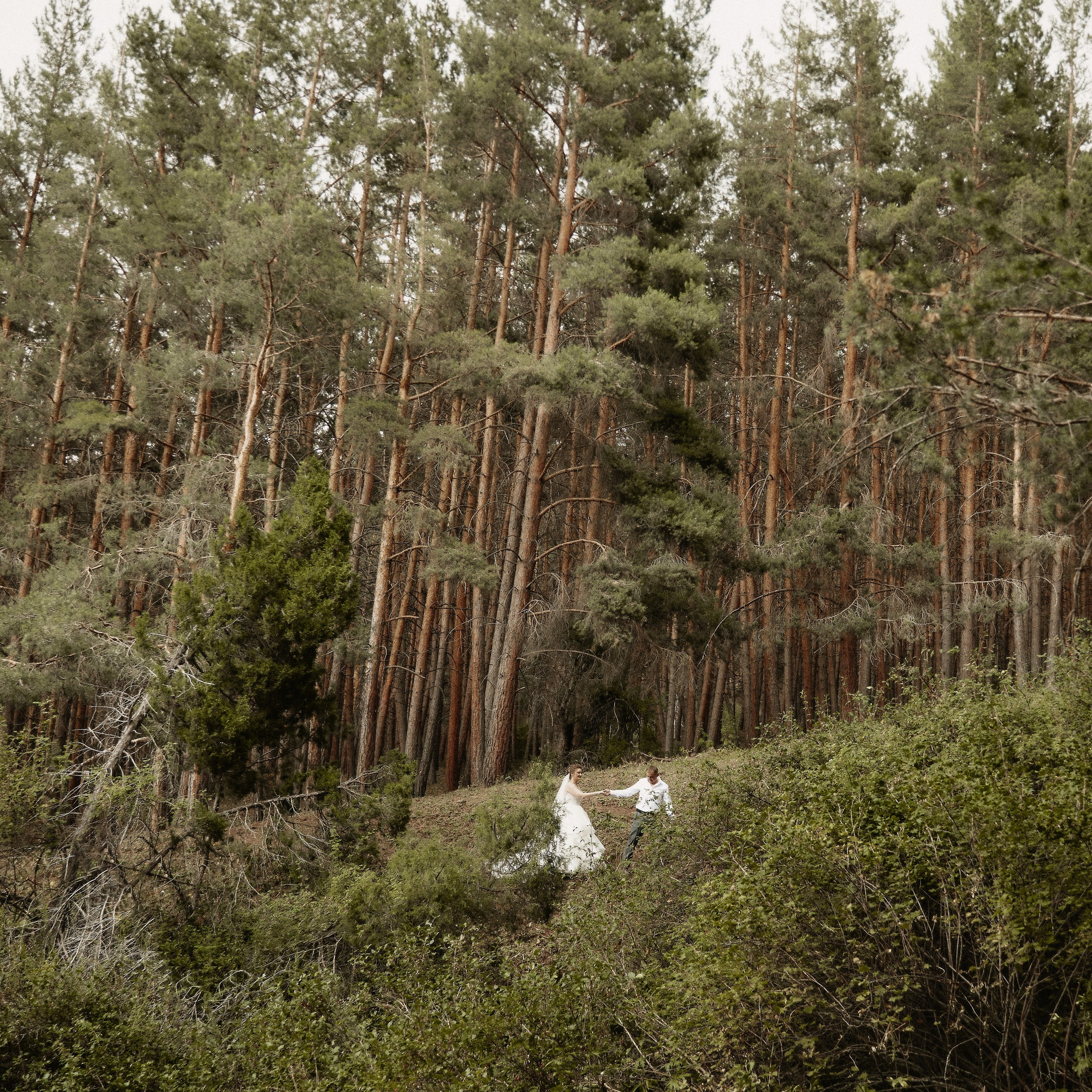 Отзывы. Валерия Вартанова. Фотограф