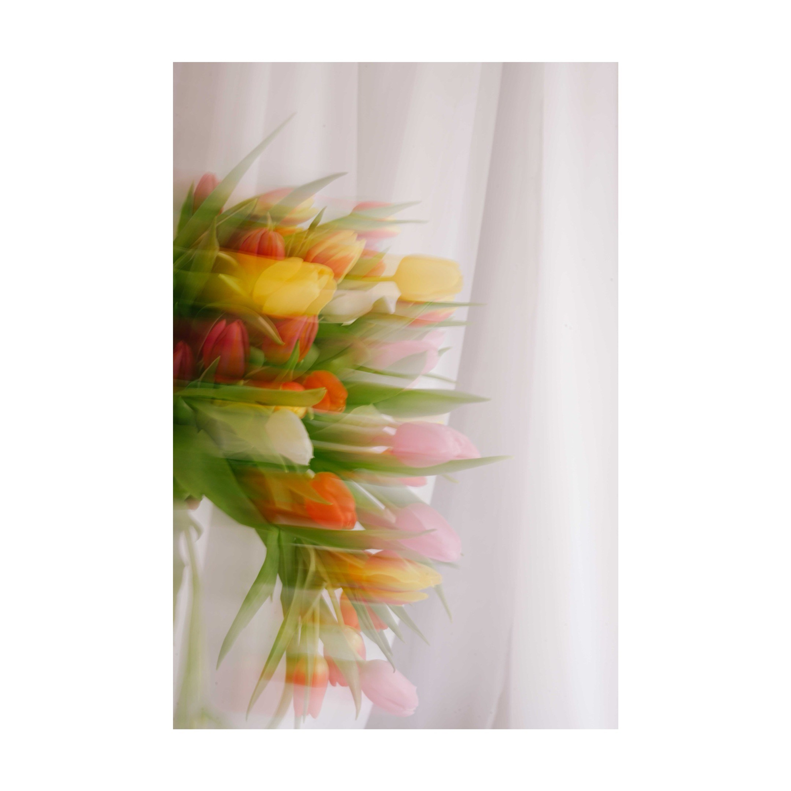 Print Urme colorate. Madalina Beda- Artist vizual, fotograf, doula la nastere, consultant babywearing Brasov si in toata tara