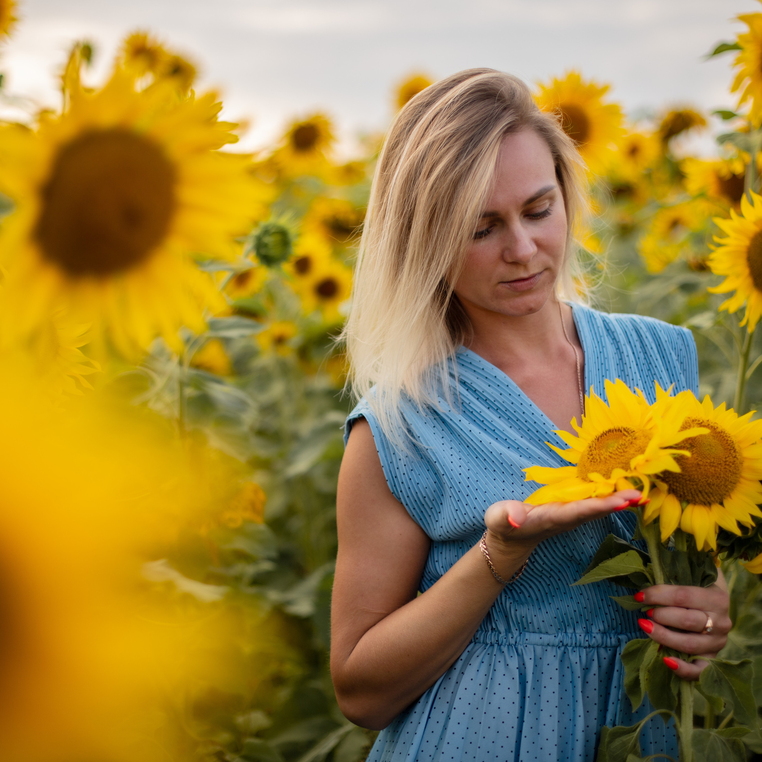 Подсолнухи