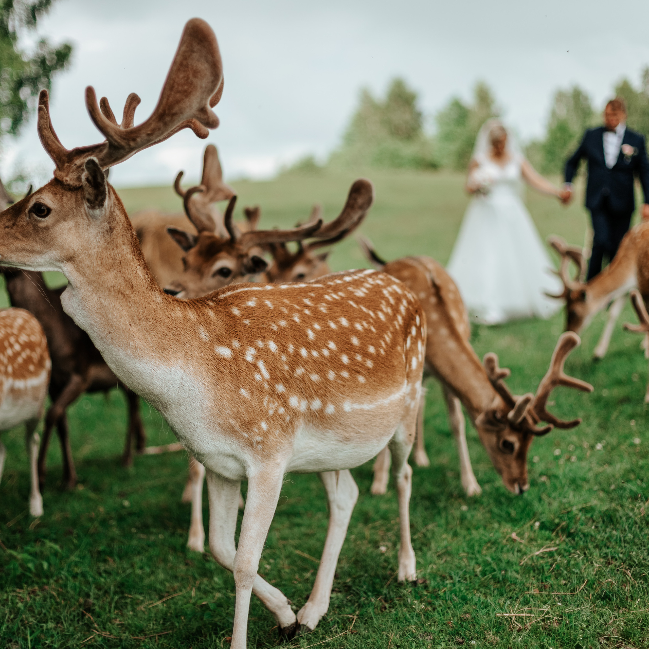 Отзывы. Ваш фотограф — Ивета Марченока