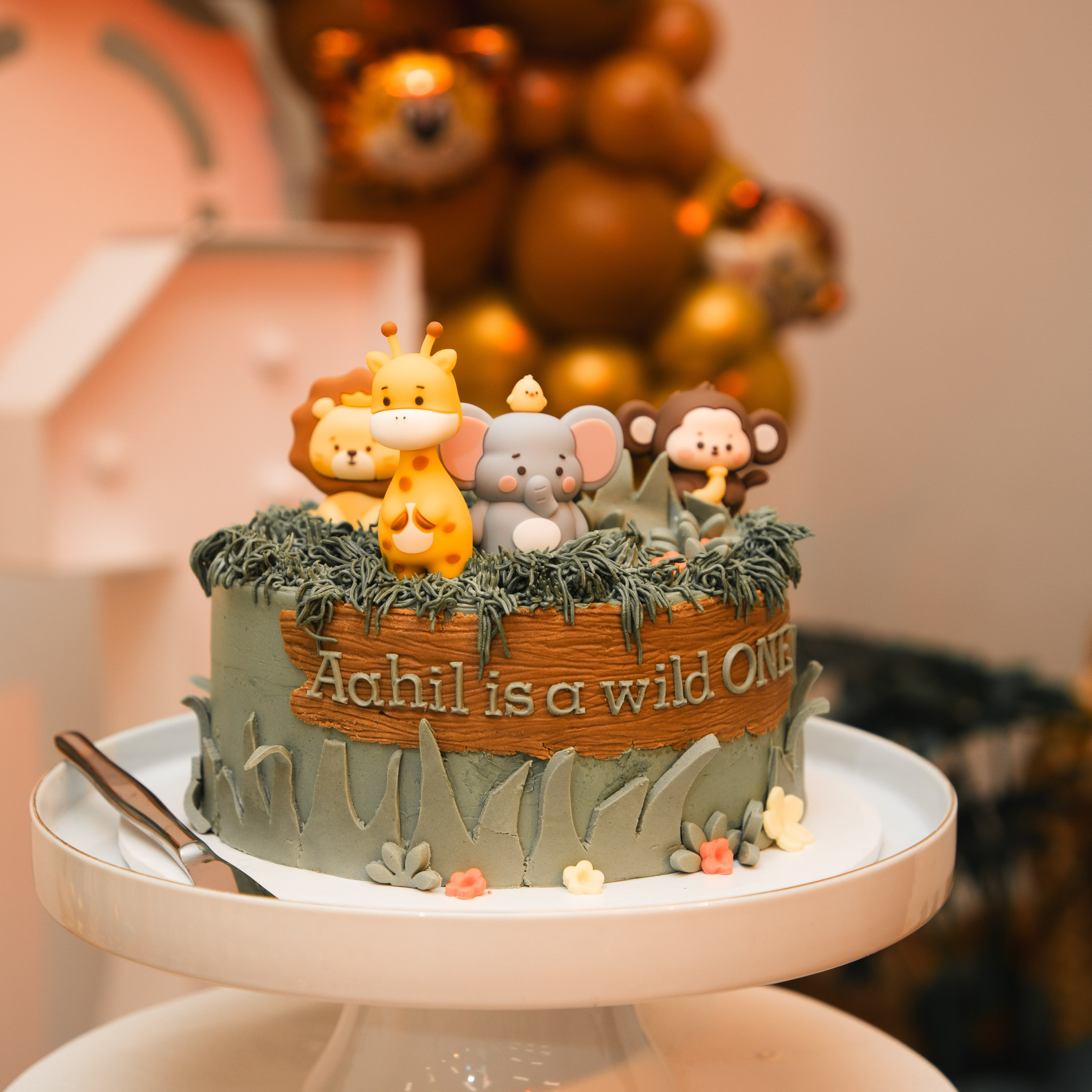 Ahil’s 1st Birthday