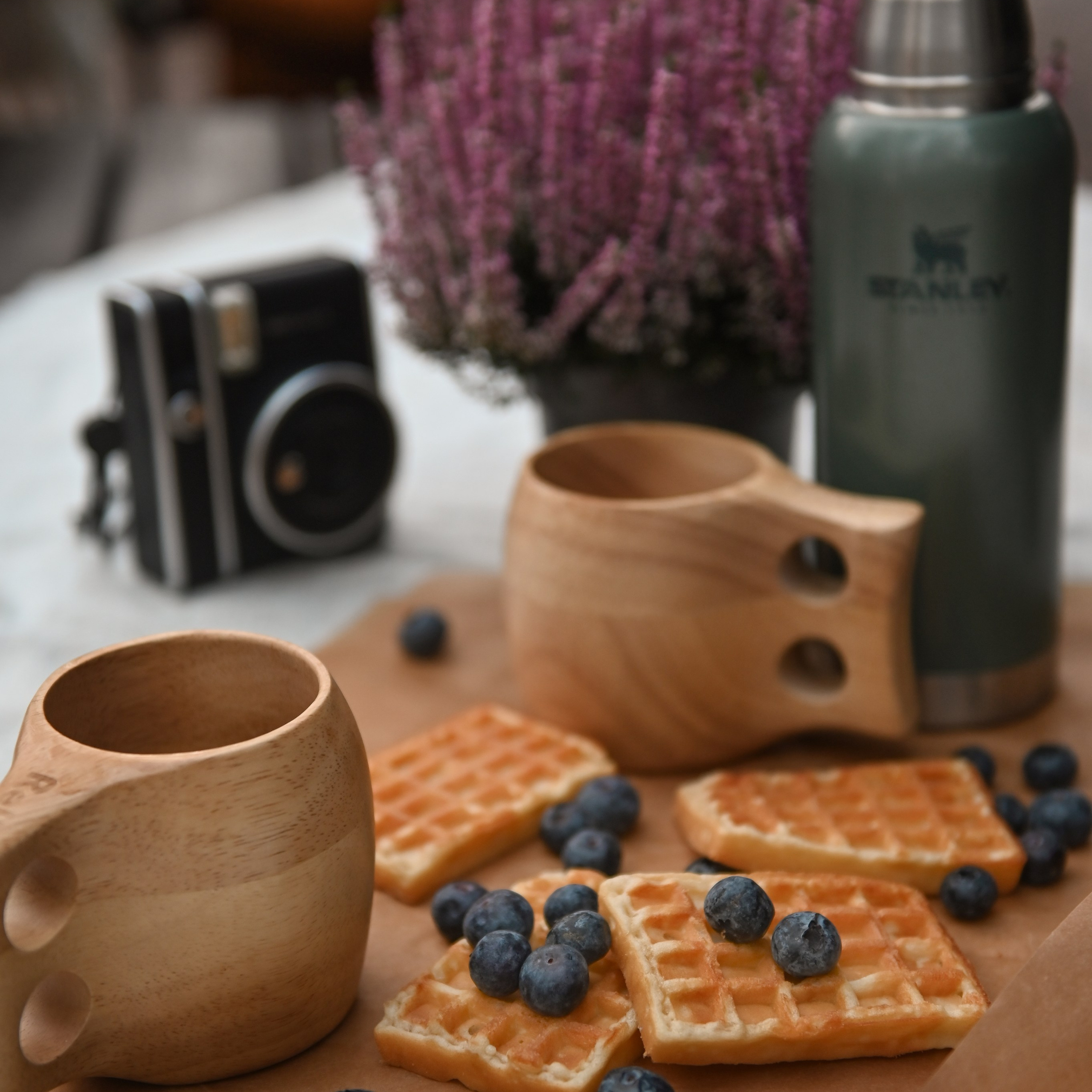 Пикник у озера