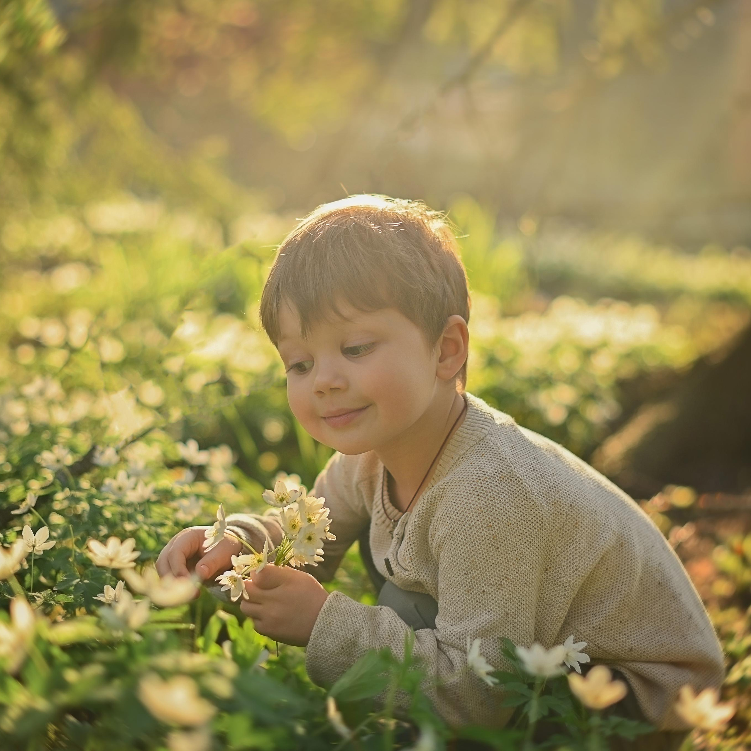 В поисках подснежников