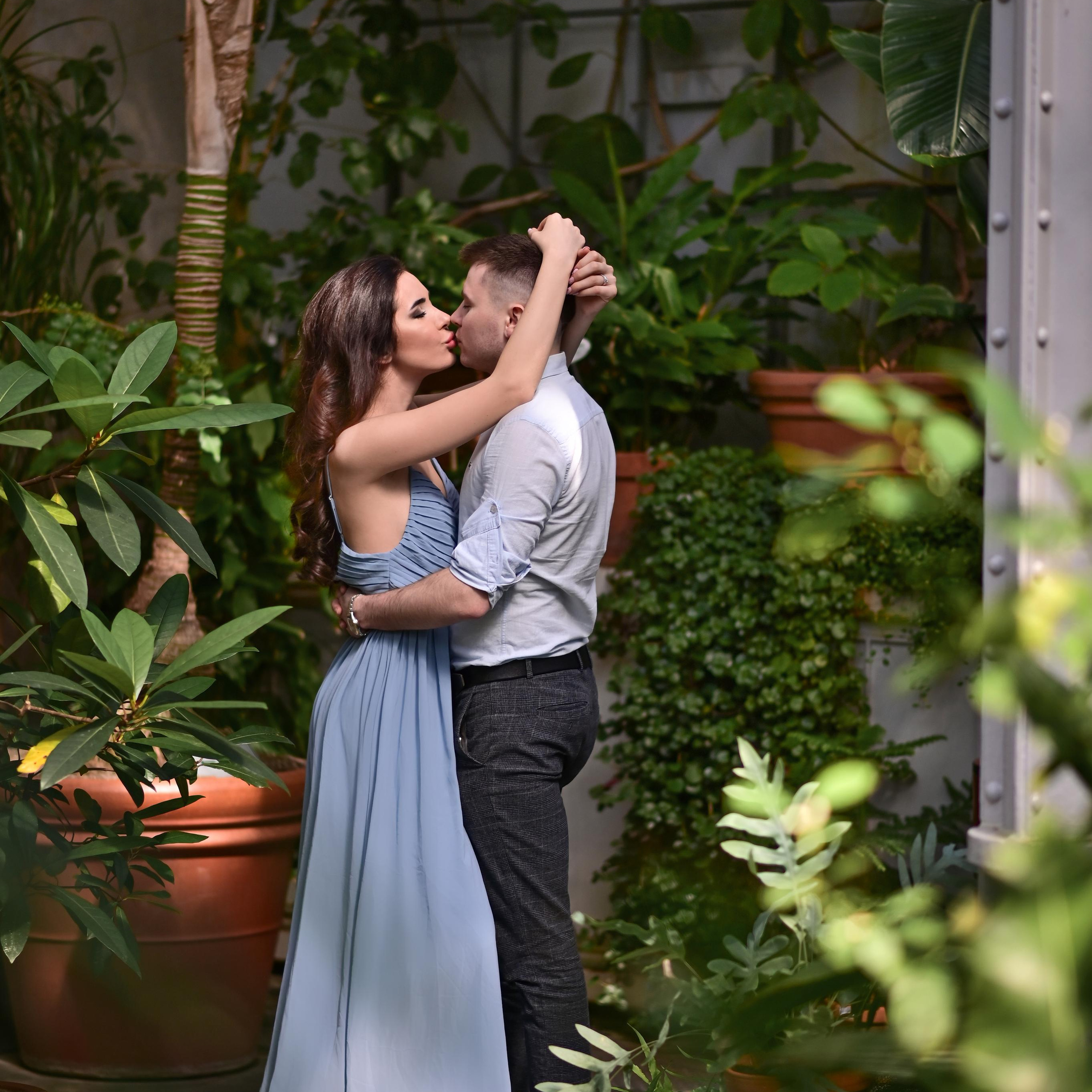 В зимнем саду