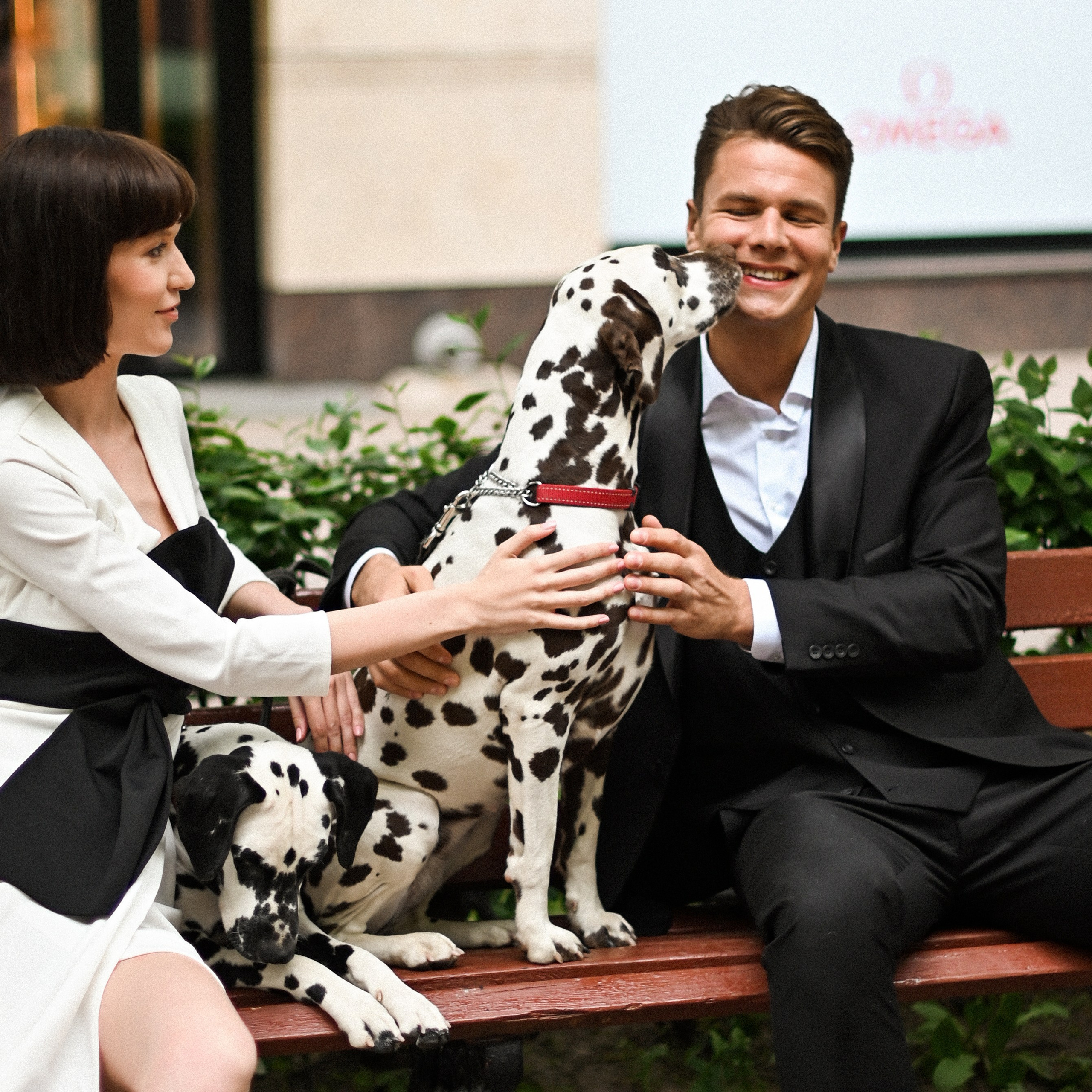 История с далматинцами