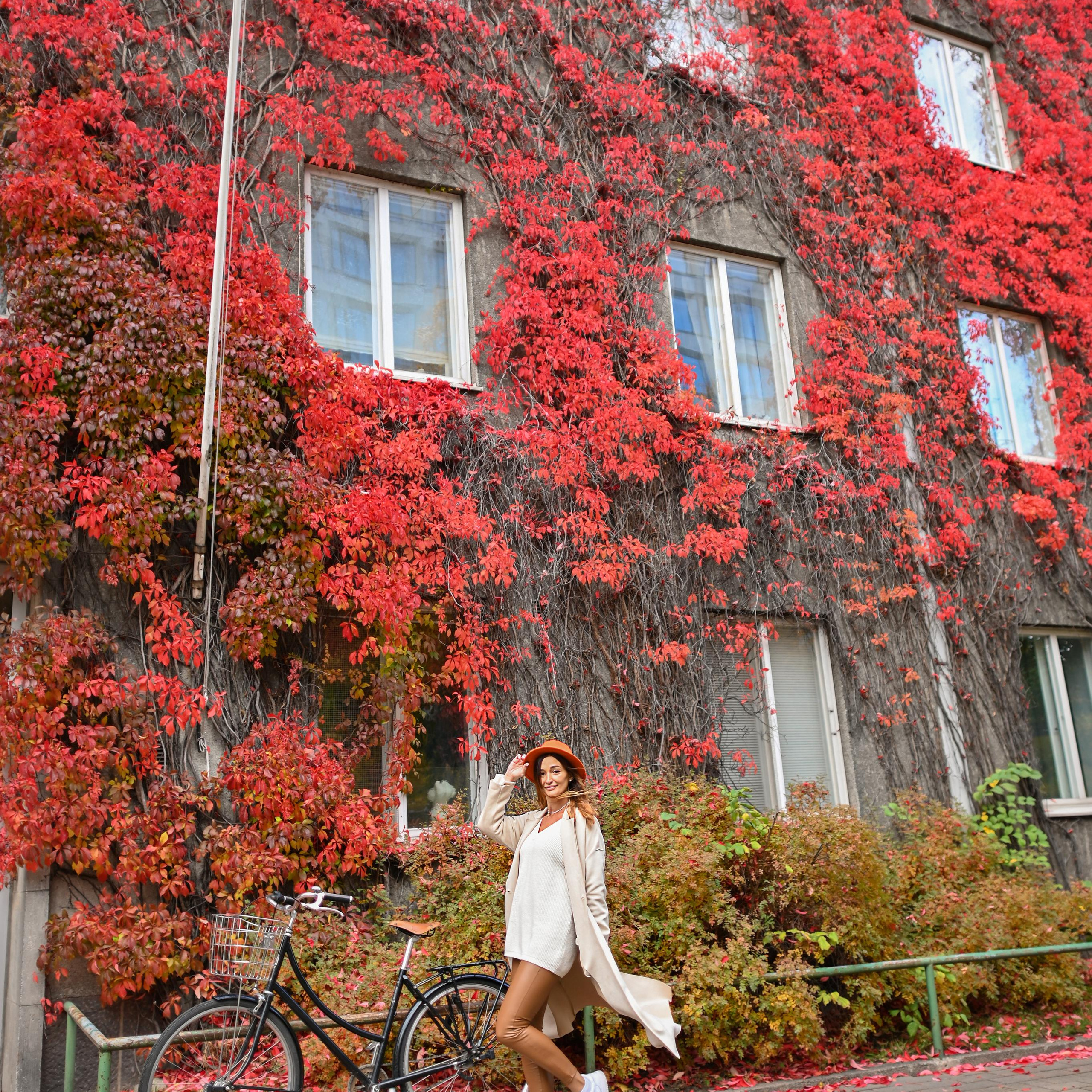 Осень в Töölö