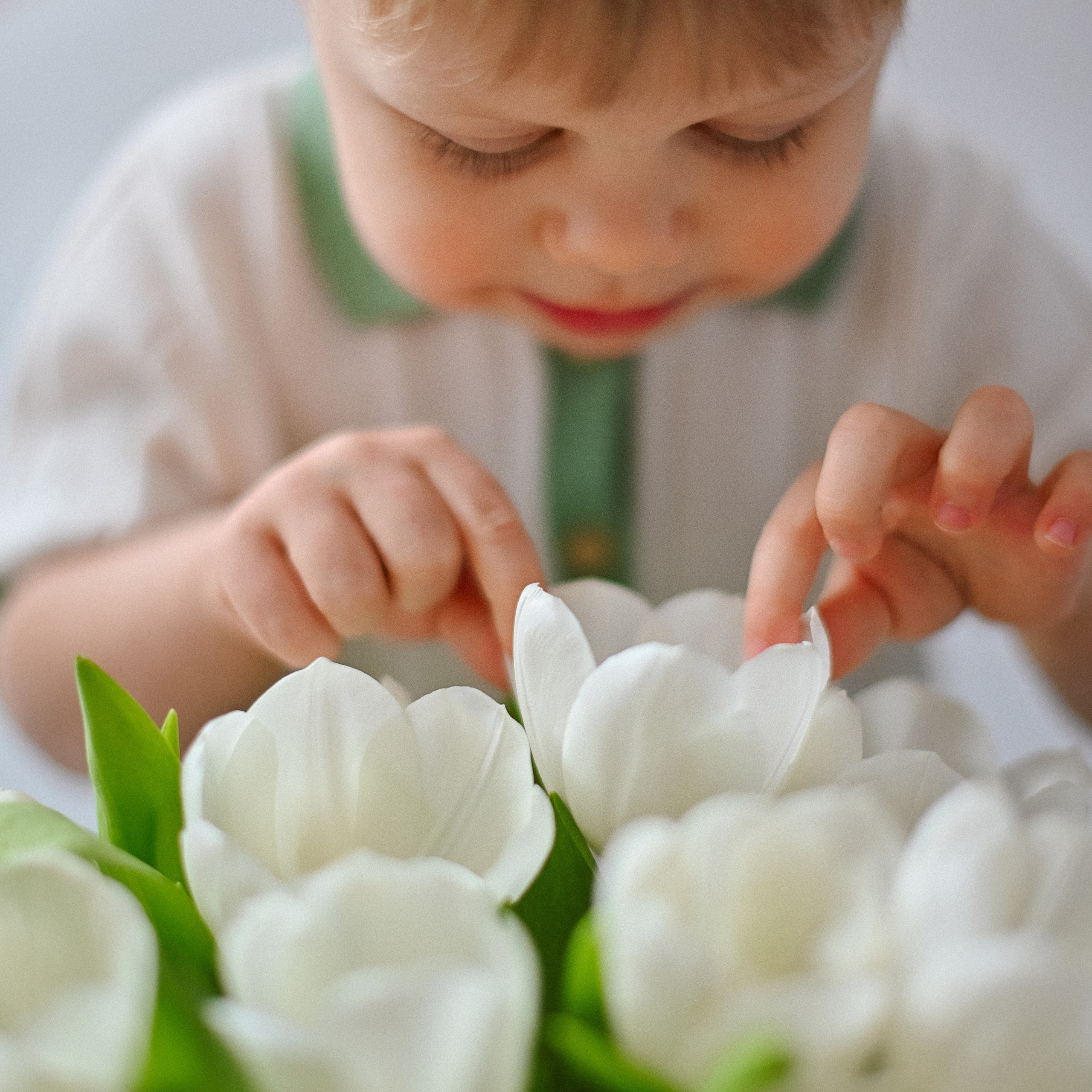 Весенние цветы