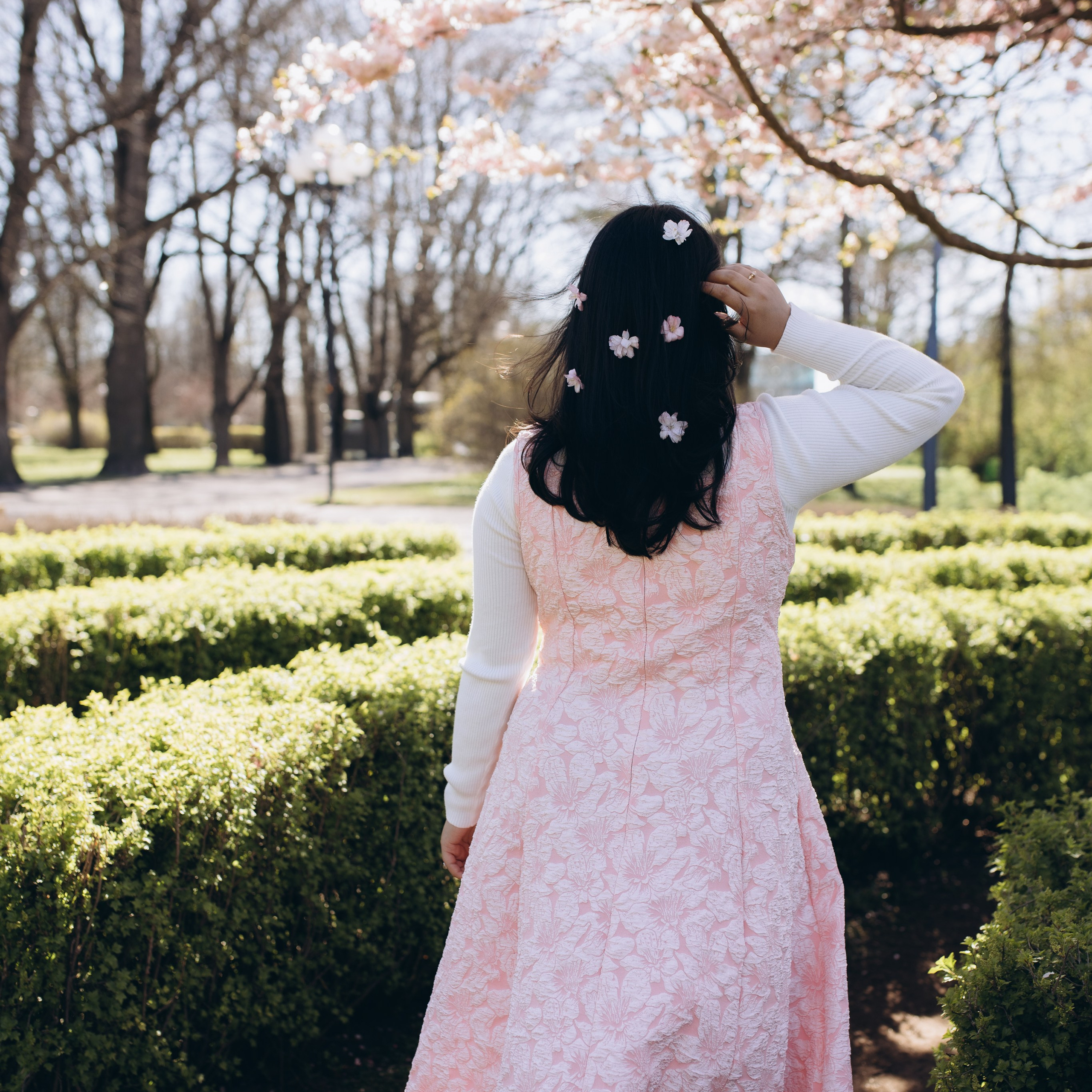 Feedback. Family and Wedding photographer Anastasiia Lysenko
