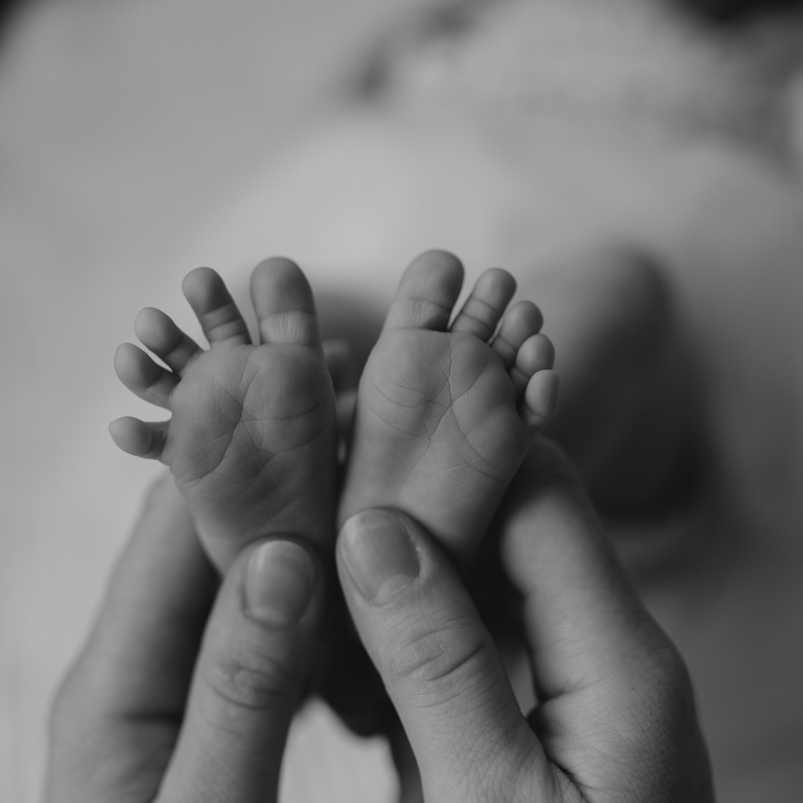 Feedback. Family and Wedding photographer Anastasiia Lysenko