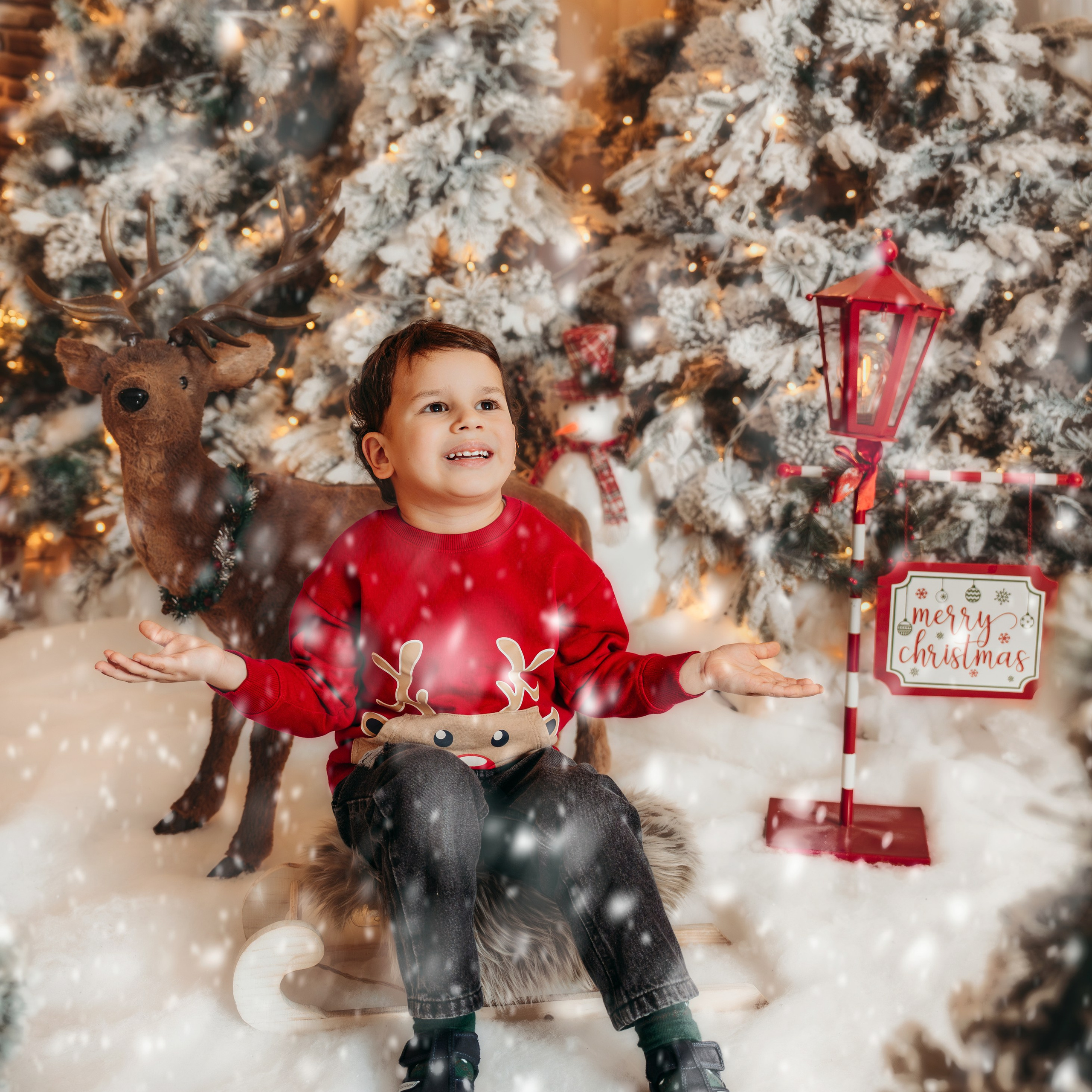 RECENZIJE. DEČIJI FOTOGRAF BEOGRAD|NOVOGODISNJE FOTOGRAFISANJE|CAKE SMASH