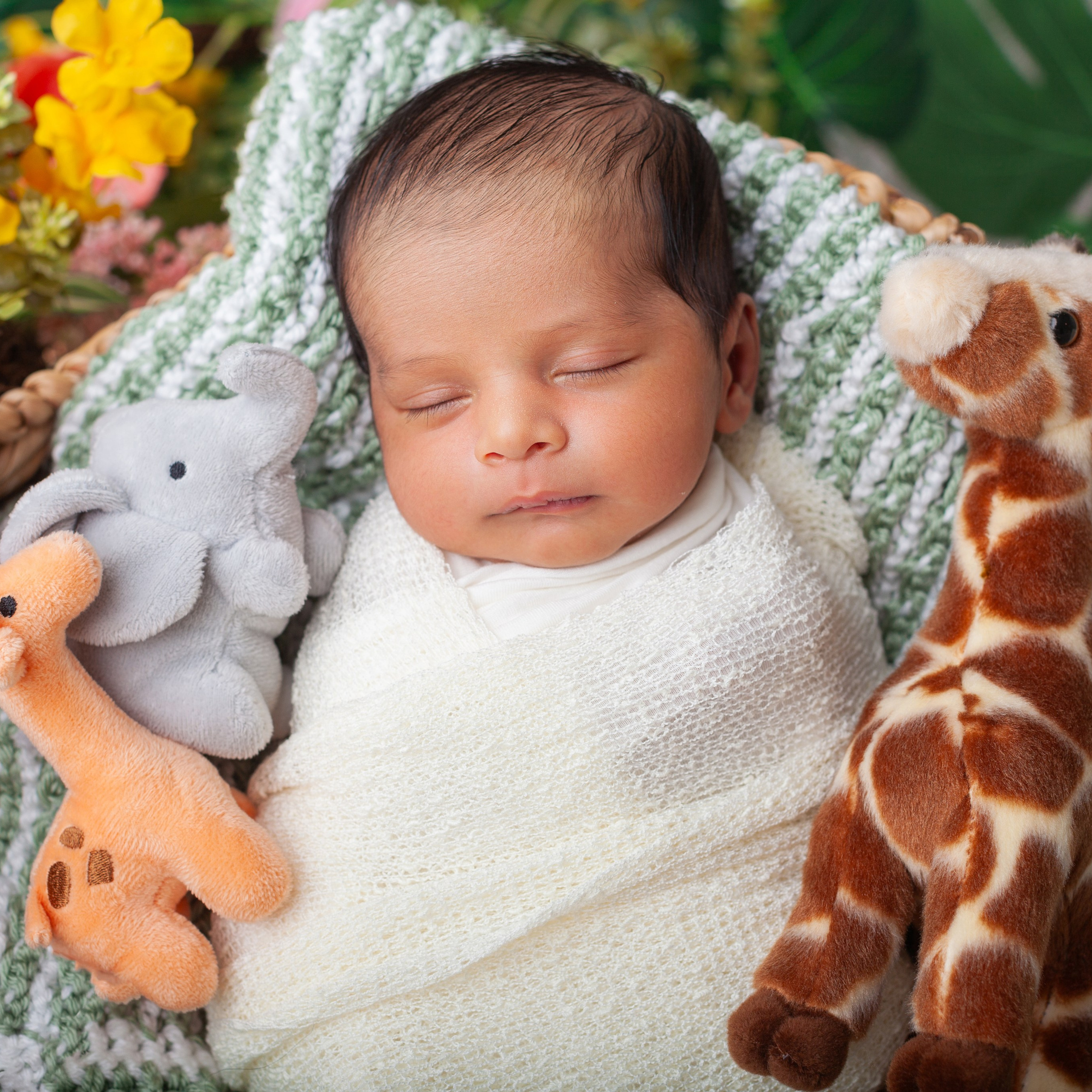 Reviews. Marina Pravda Photography San Francisco Bay Area