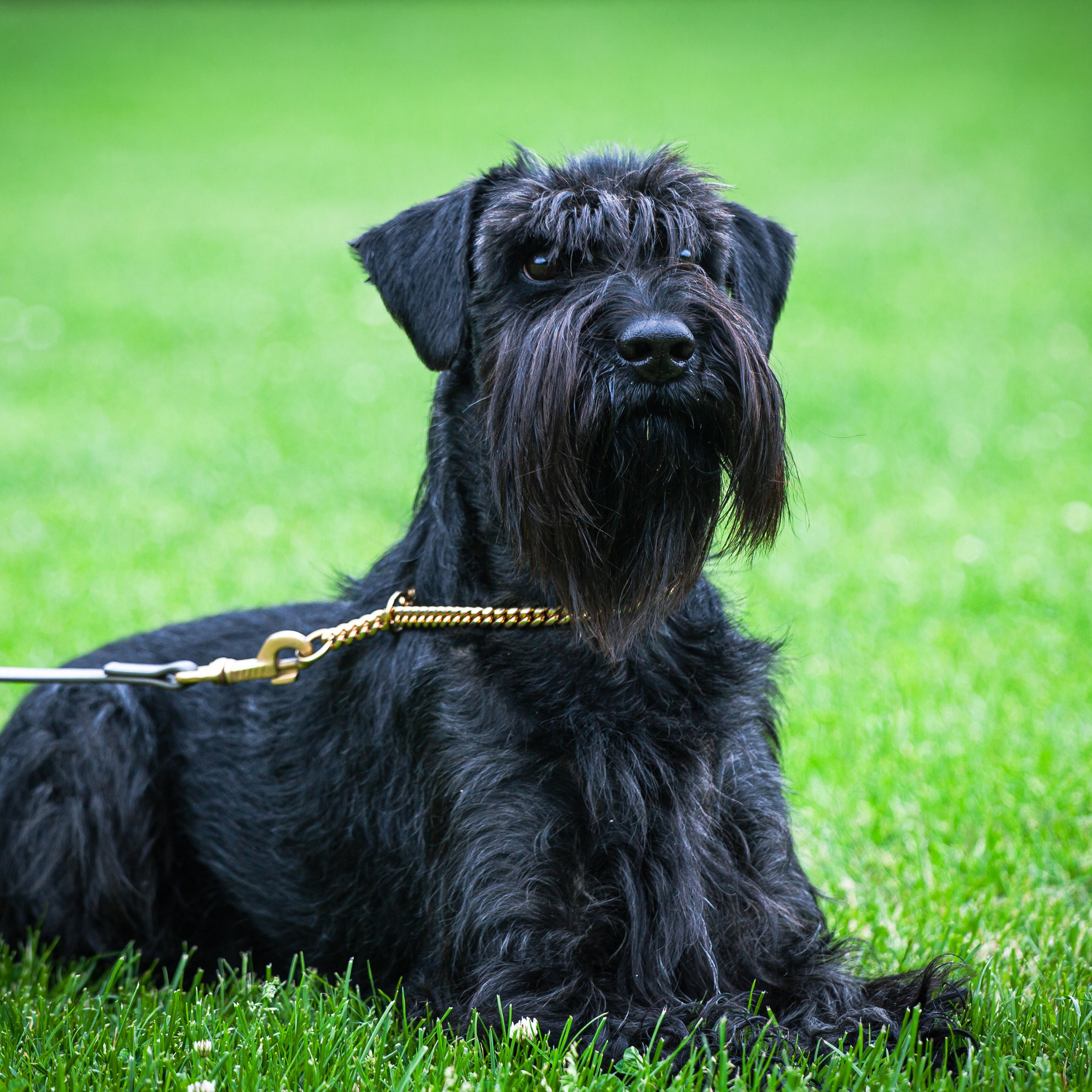 Reviews. Marina Pravda Photography San Francisco Bay Area