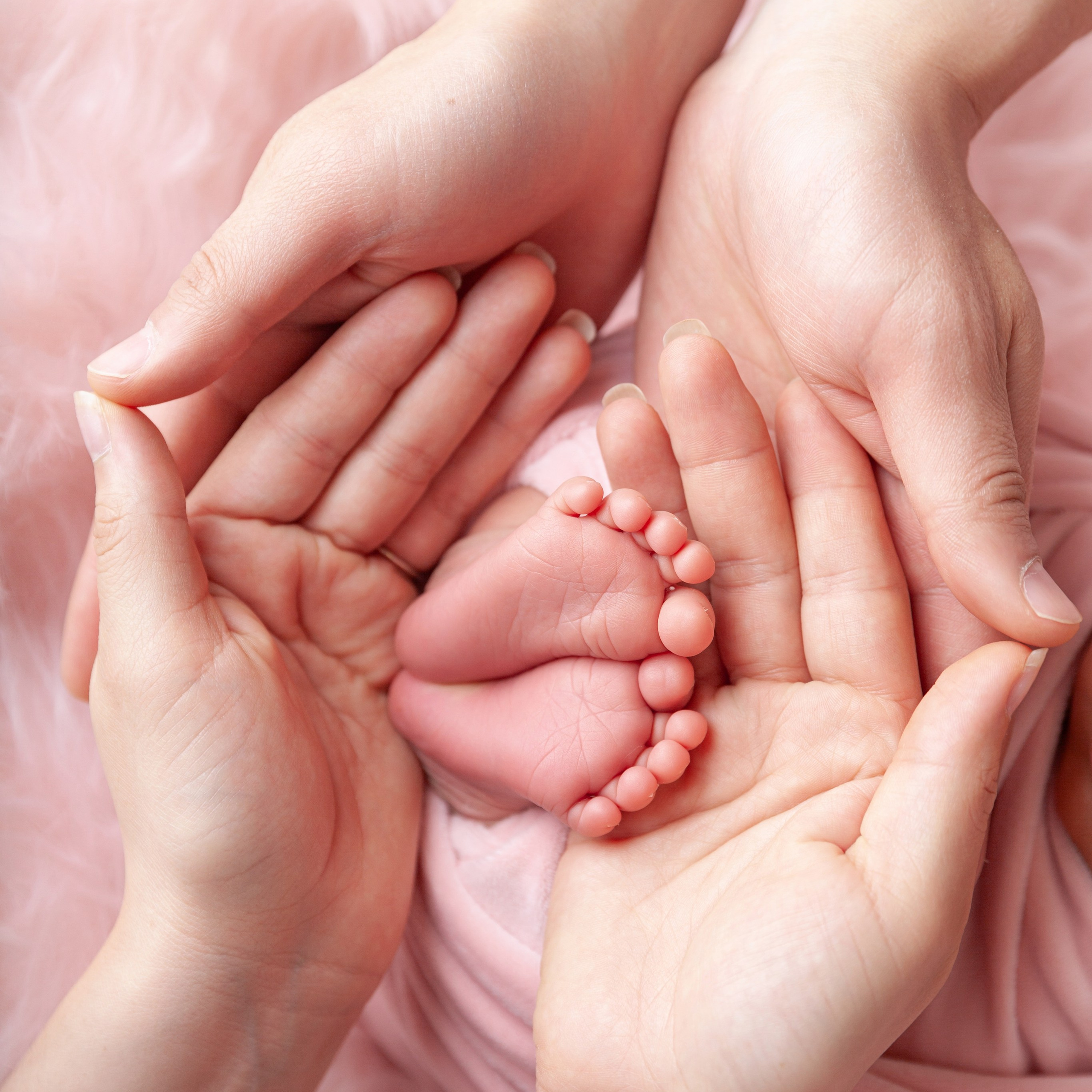 Marina Pravda Photography San Francisco Bay Area