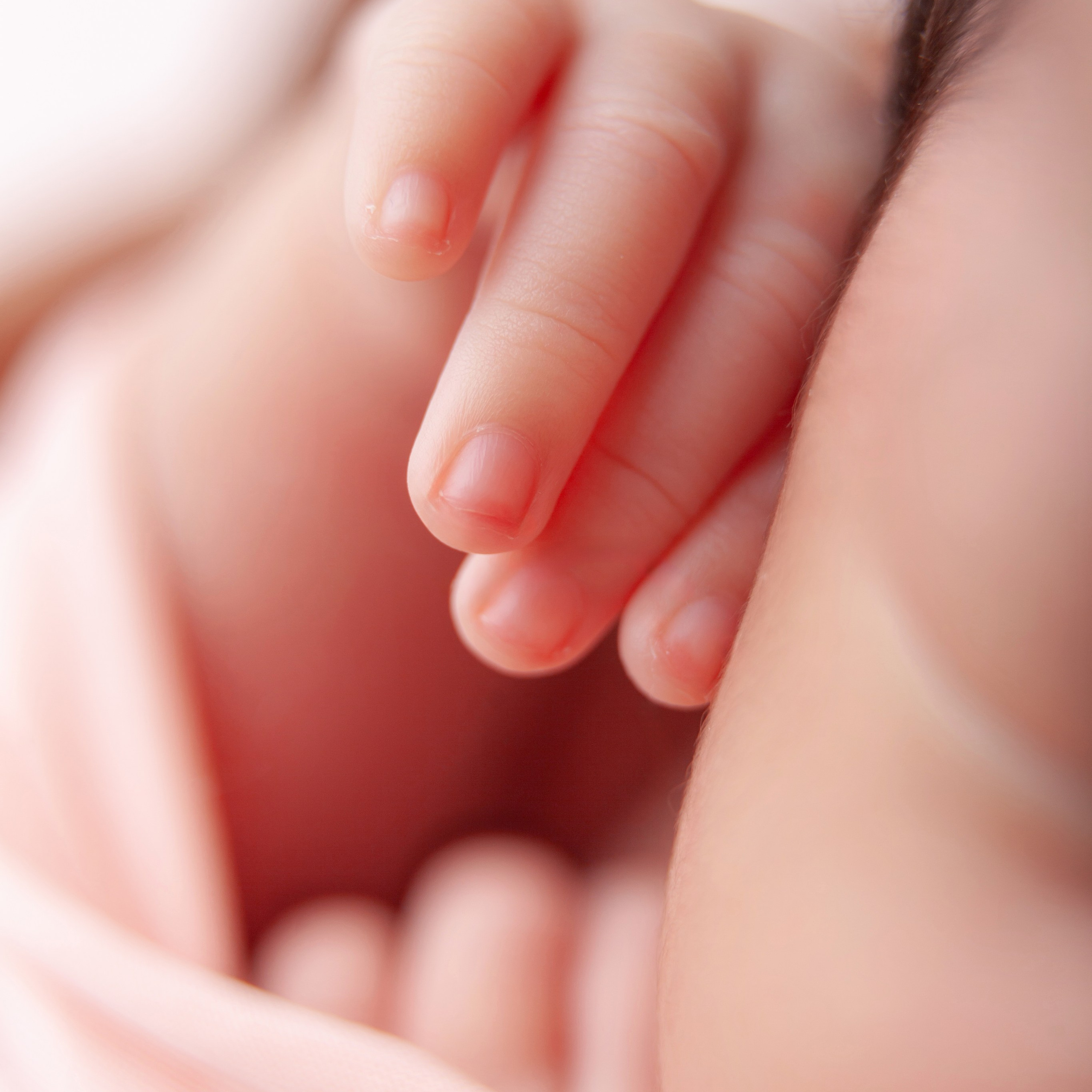 Marina Pravda Photography San Francisco Bay Area