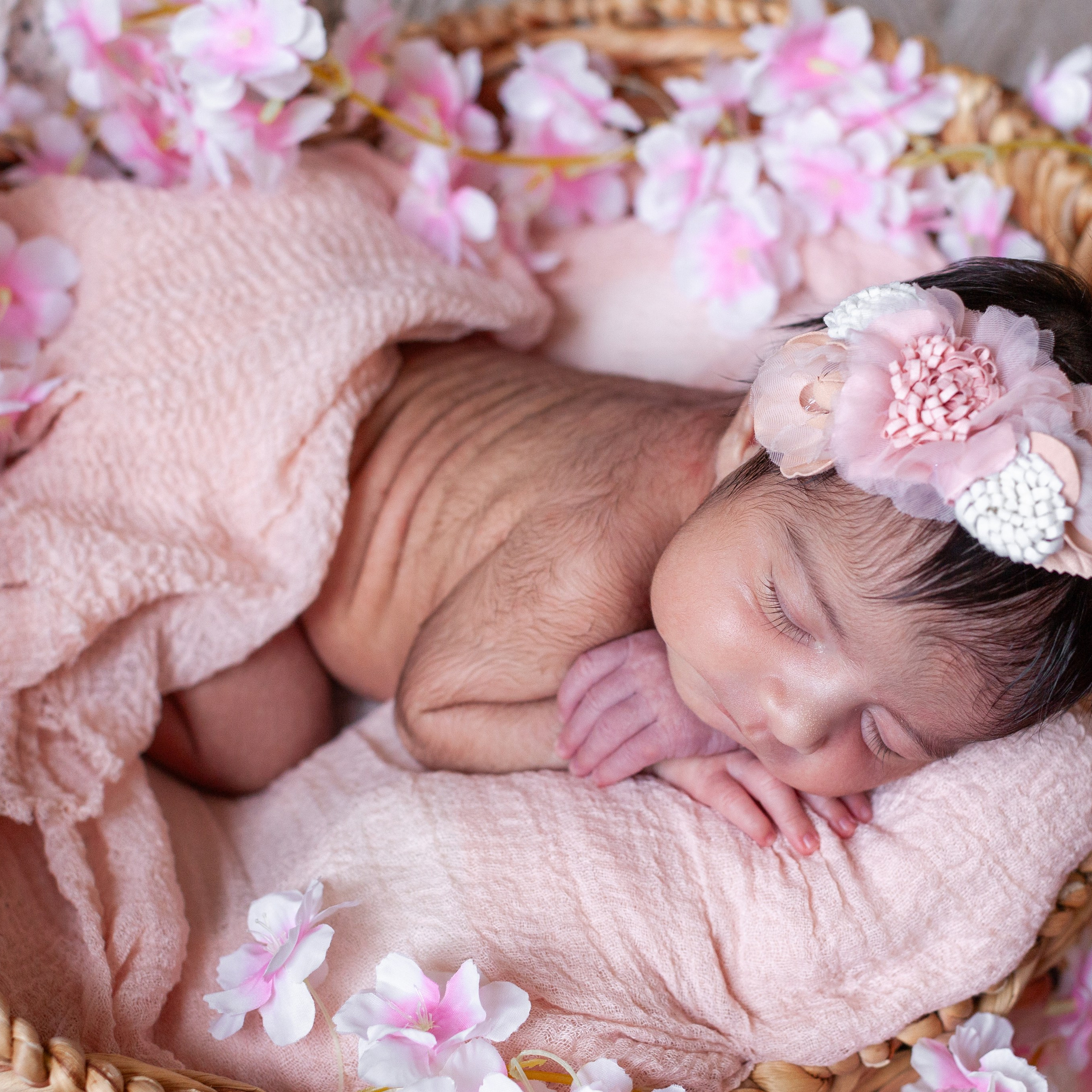 Reviews. Marina Pravda Photography San Francisco Bay Area