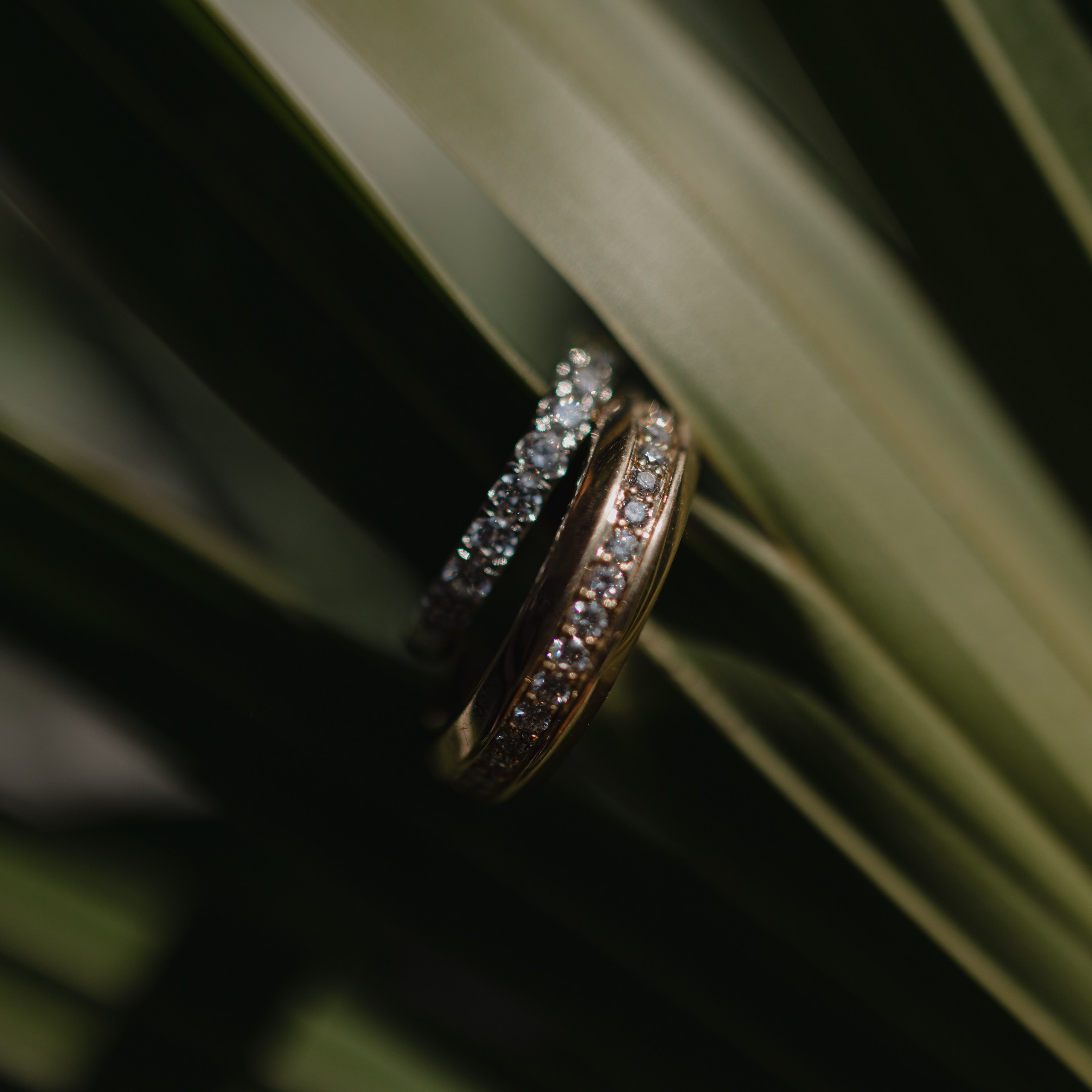 Private Villa Wedding at Casa Valerie Puerto Vallarta | Sofia & Thomas. Fotógrafo de Bodas en Puerto Vallarta y Riviera Nayarit | VL photo & film