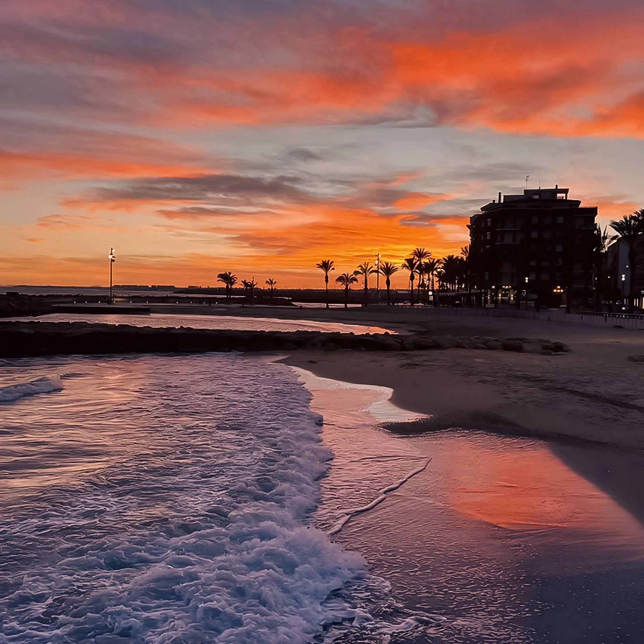 Econom Lux⭐︎. Yuliia Foto