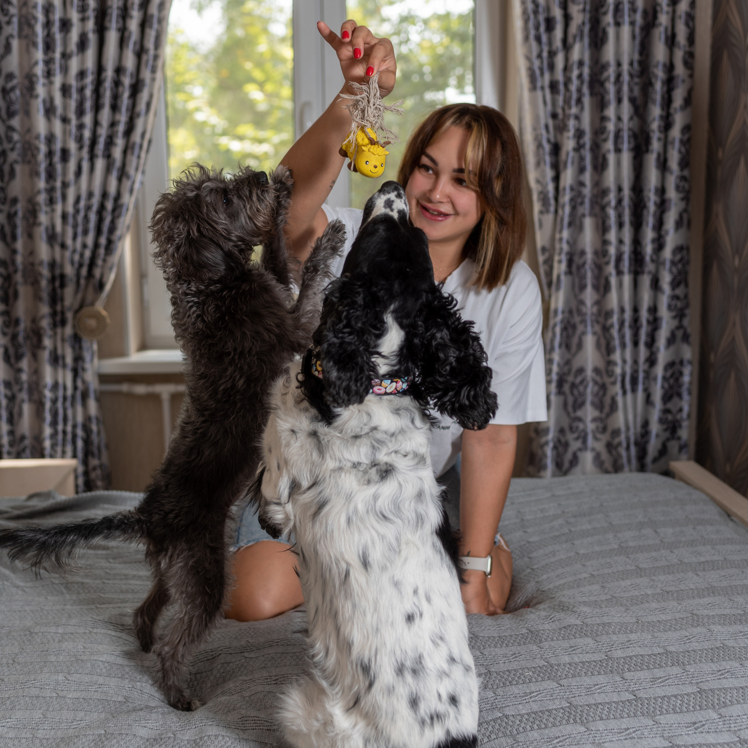 Client Reviews | Pet Photography by Tanya Asfir, Belgrade. Tanya Asfir — Pet & Animal Photographer | Belgrade, Serbia