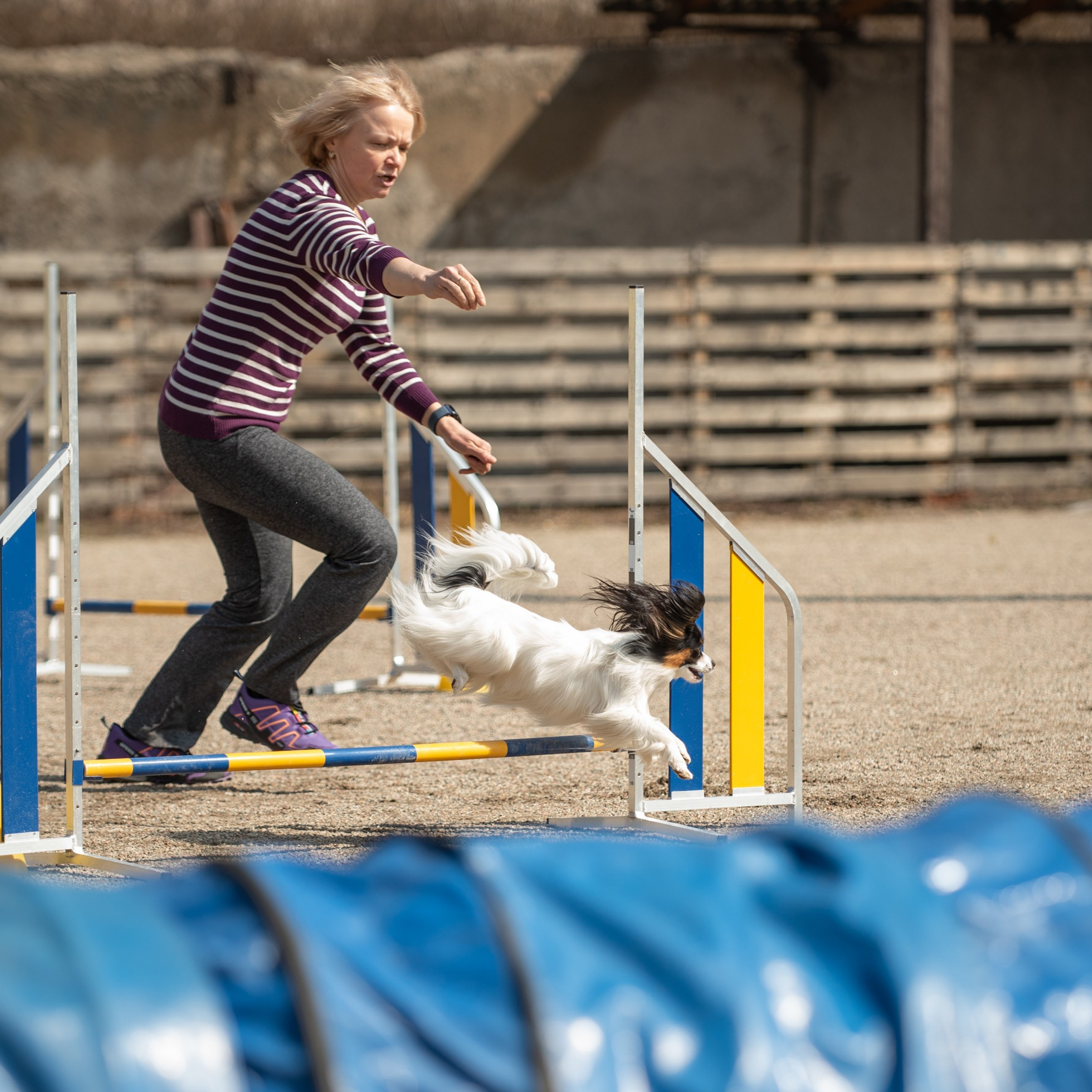 Client Reviews | Pet Photography by Tanya Asfir, Belgrade. Tanya Asfir — Pet & Animal Photographer | Belgrade, Serbia