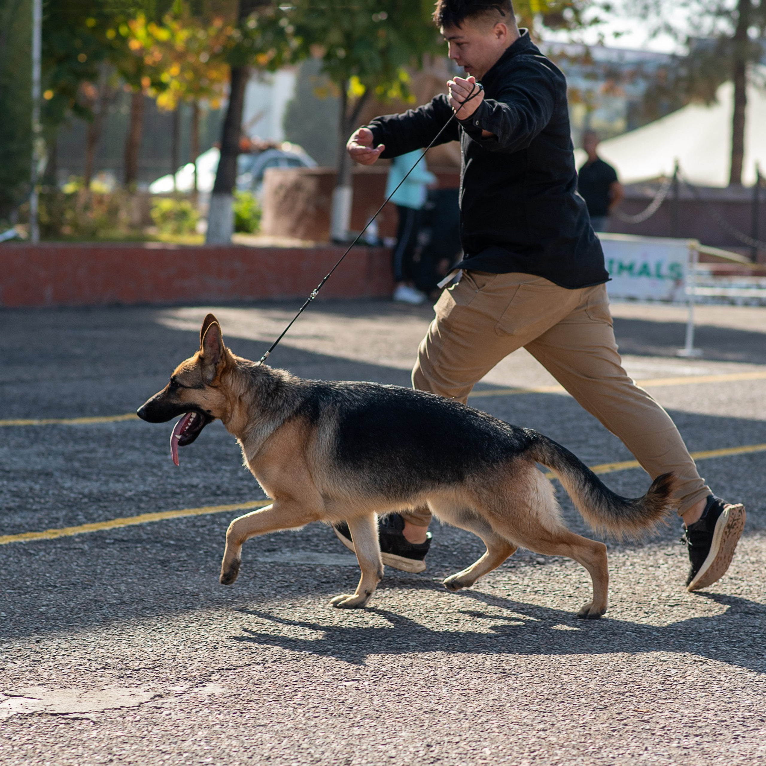 Client Reviews | Pet Photography by Tanya Asfir, Belgrade. Tanya Asfir — Pet & Animal Photographer | Belgrade, Serbia