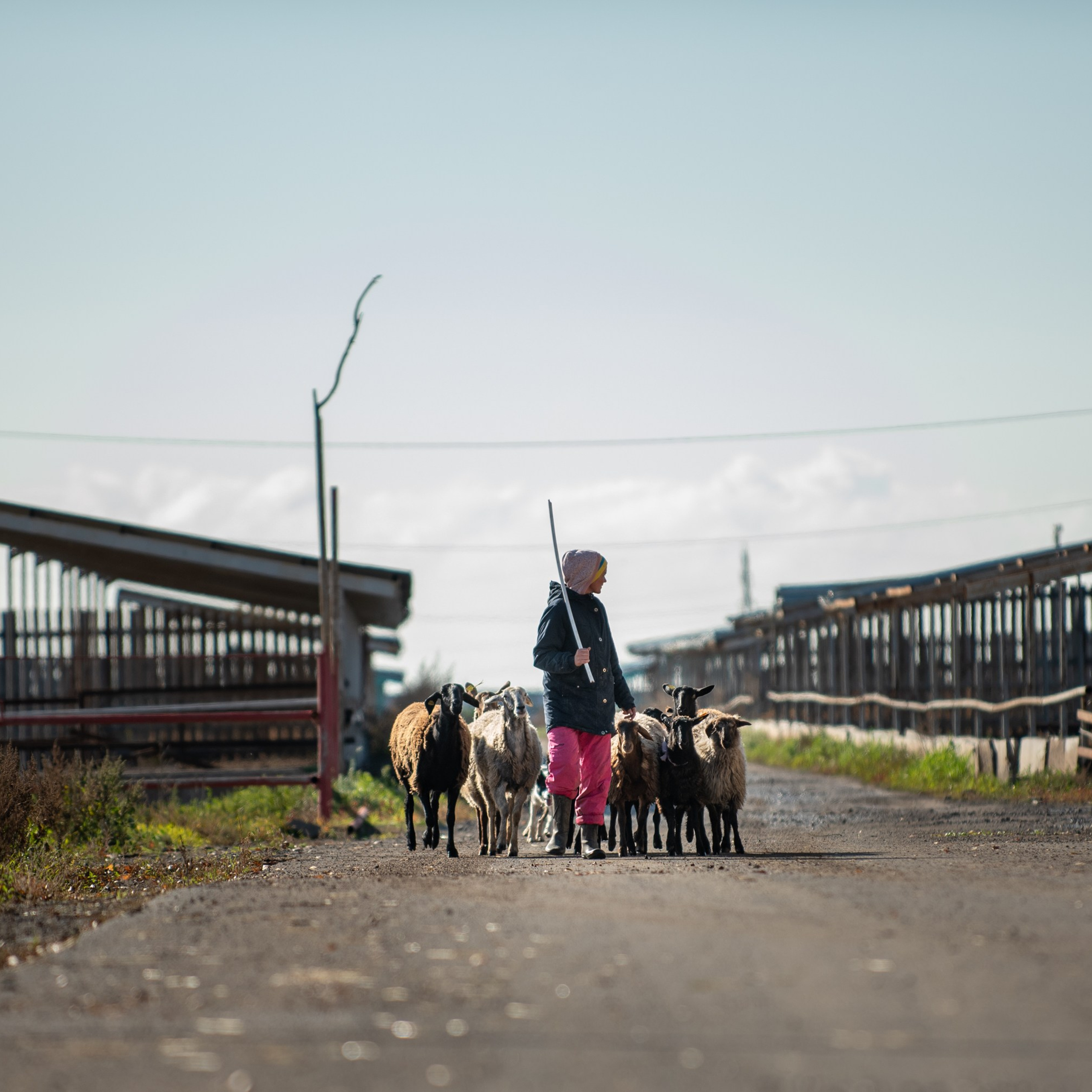 Client Reviews | Pet Photography by Tanya Asfir, Belgrade. Tanya Asfir — Pet & Animal Photographer | Belgrade, Serbia