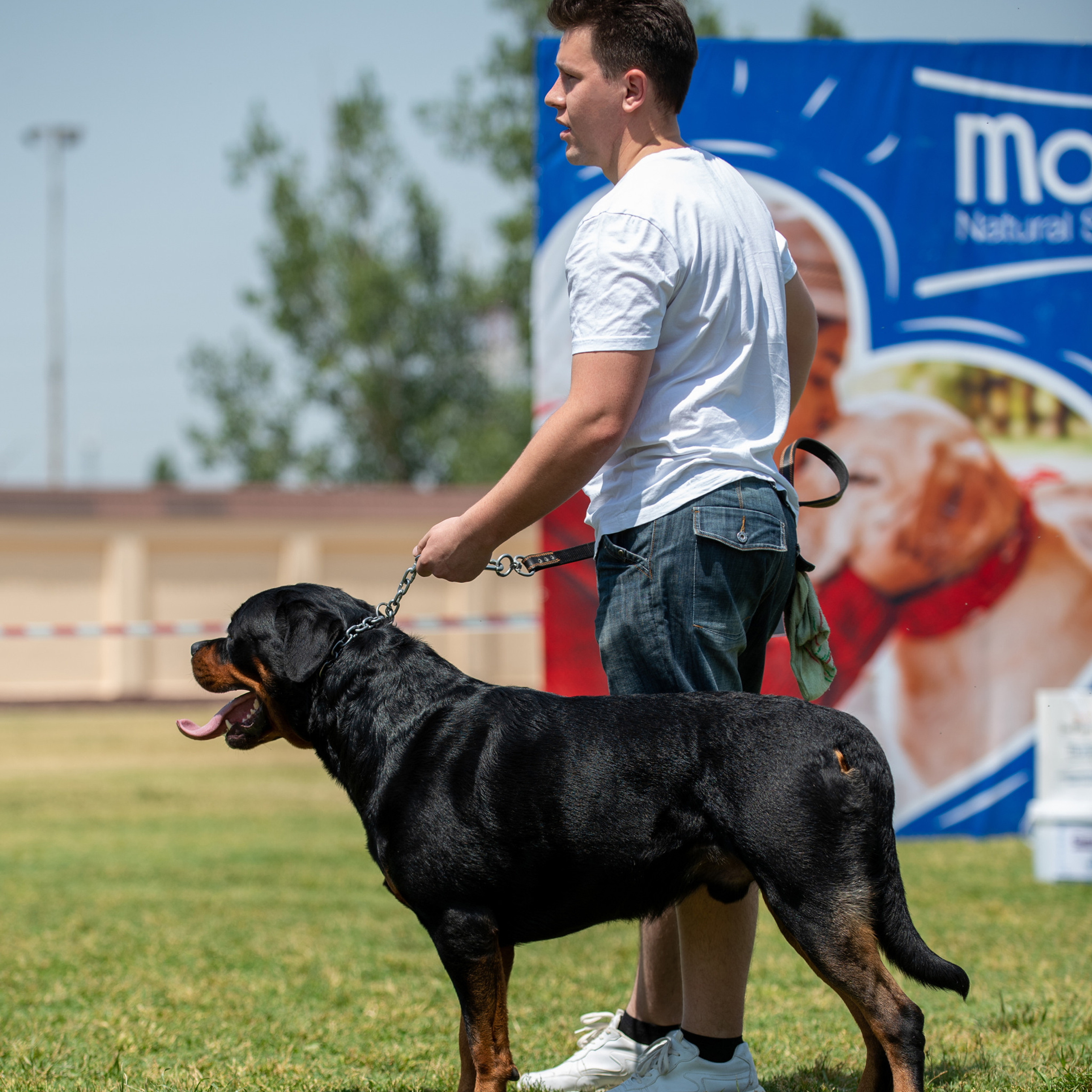 Client Reviews | Pet Photography by Tanya Asfir, Belgrade. Tanya Asfir — Pet & Animal Photographer | Belgrade, Serbia