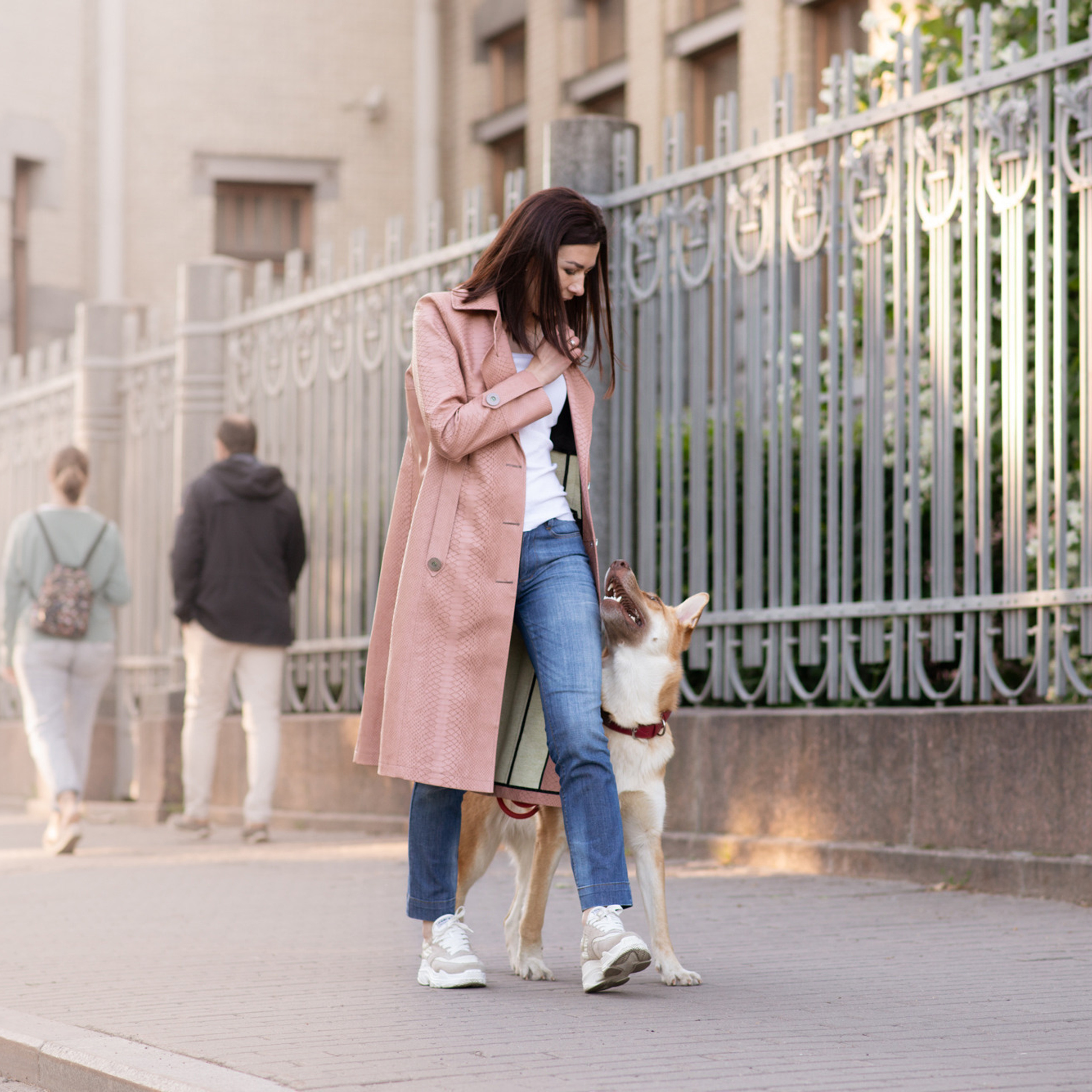 Client Reviews | Pet Photography by Tanya Asfir, Belgrade. Tanya Asfir — Pet & Animal Photographer | Belgrade, Serbia