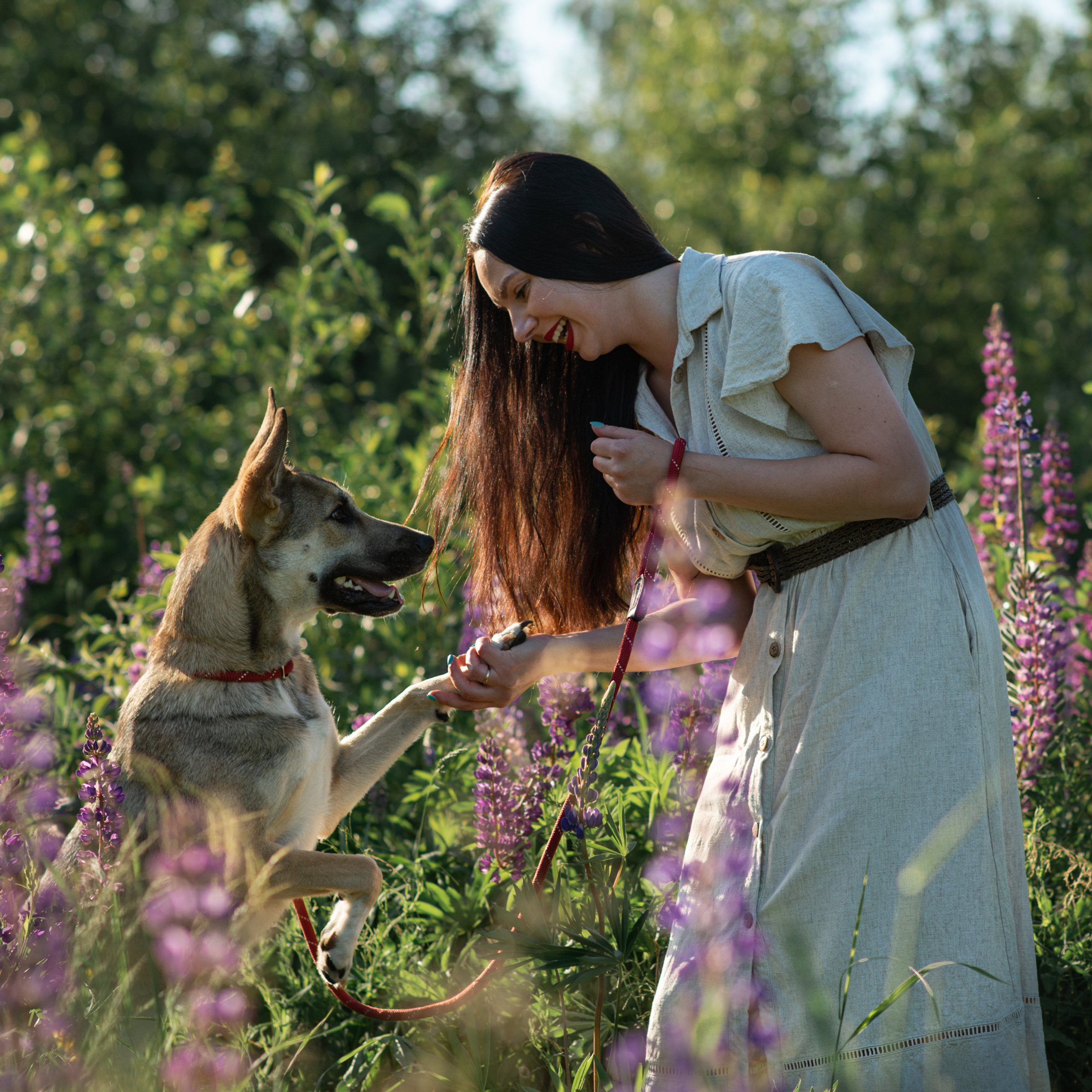 Client Reviews | Pet Photography by Tanya Asfir, Belgrade. Tanya Asfir — Pet & Animal Photographer | Belgrade, Serbia