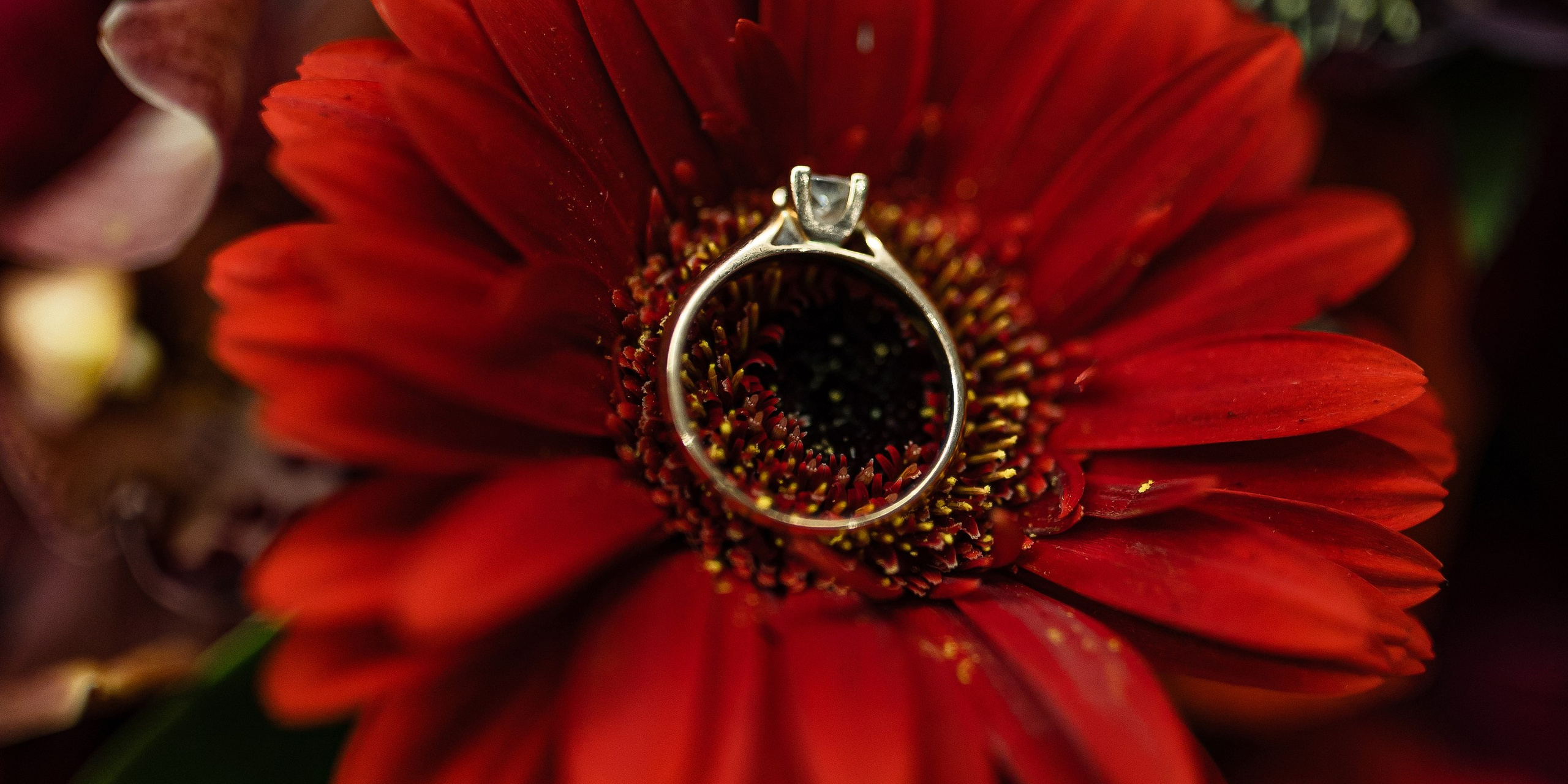 Elena and Nazar 2025