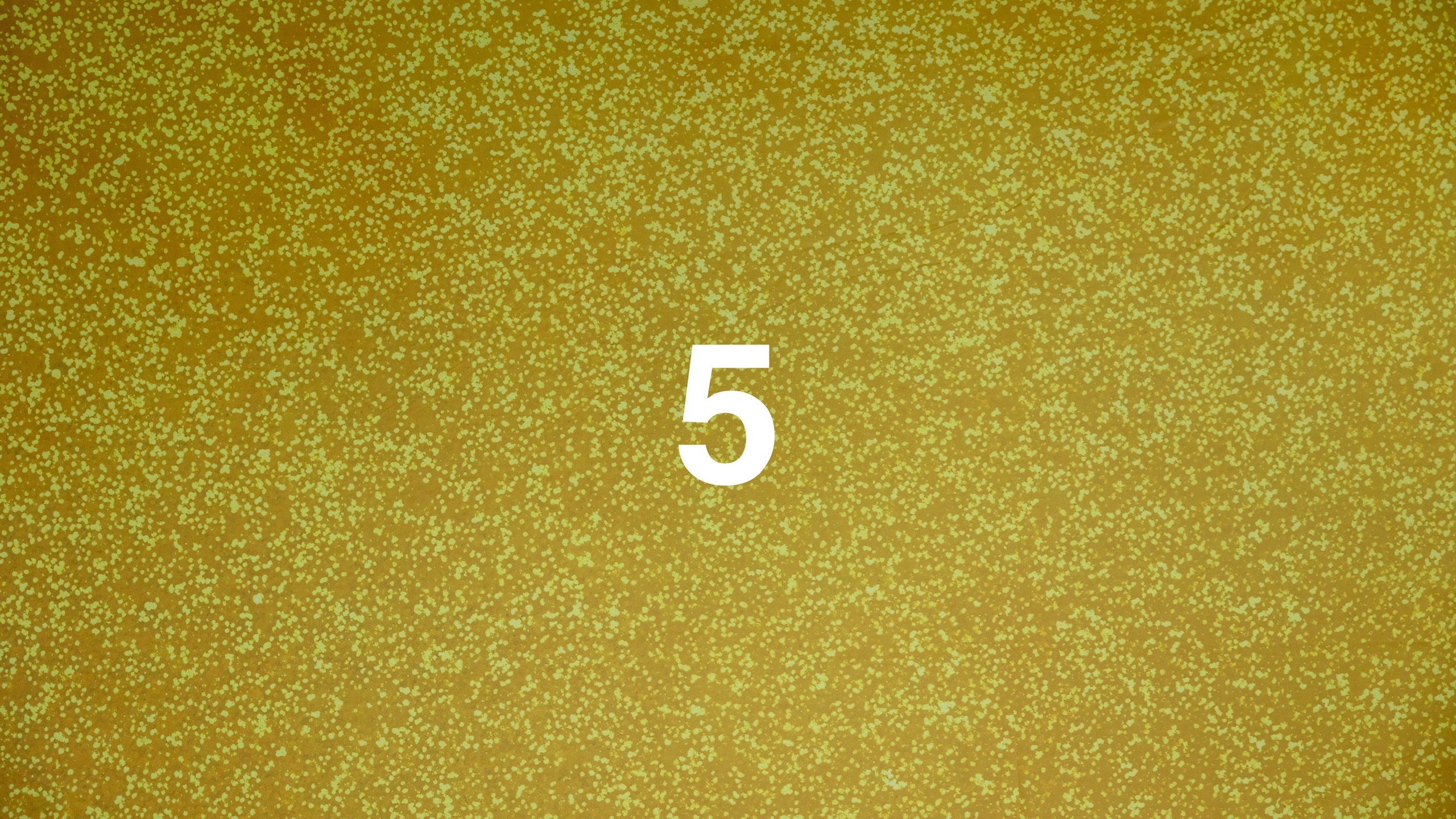 Taustad Fotoboksile ja Fotopeeglile. Fotobox I Fotopeegel I Photobooth I Fotoboksi rent Eestis