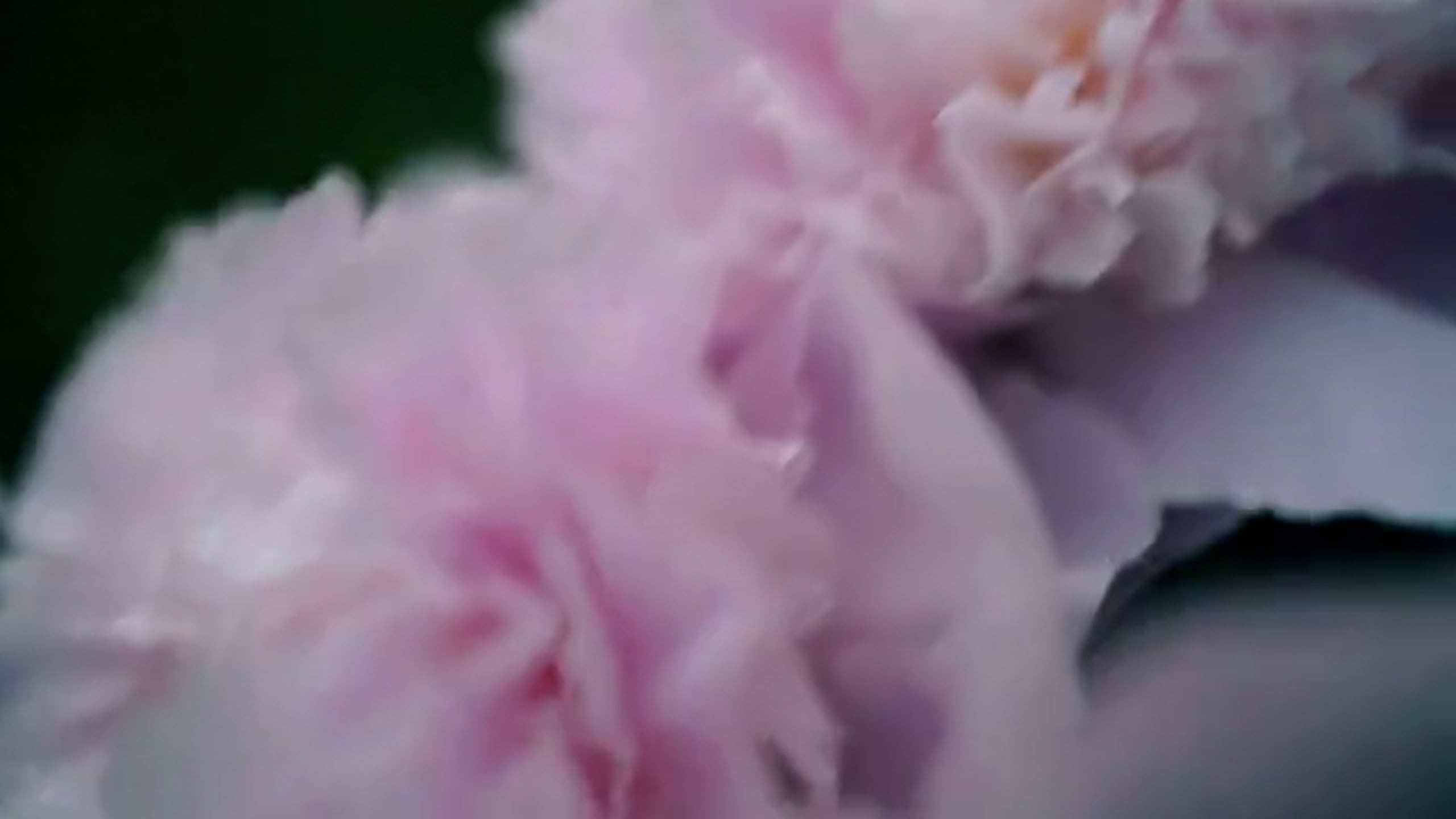 Experiments. Annecy Film — Videography, Vidéaste Kate CRAMON in Annecy and Geneva