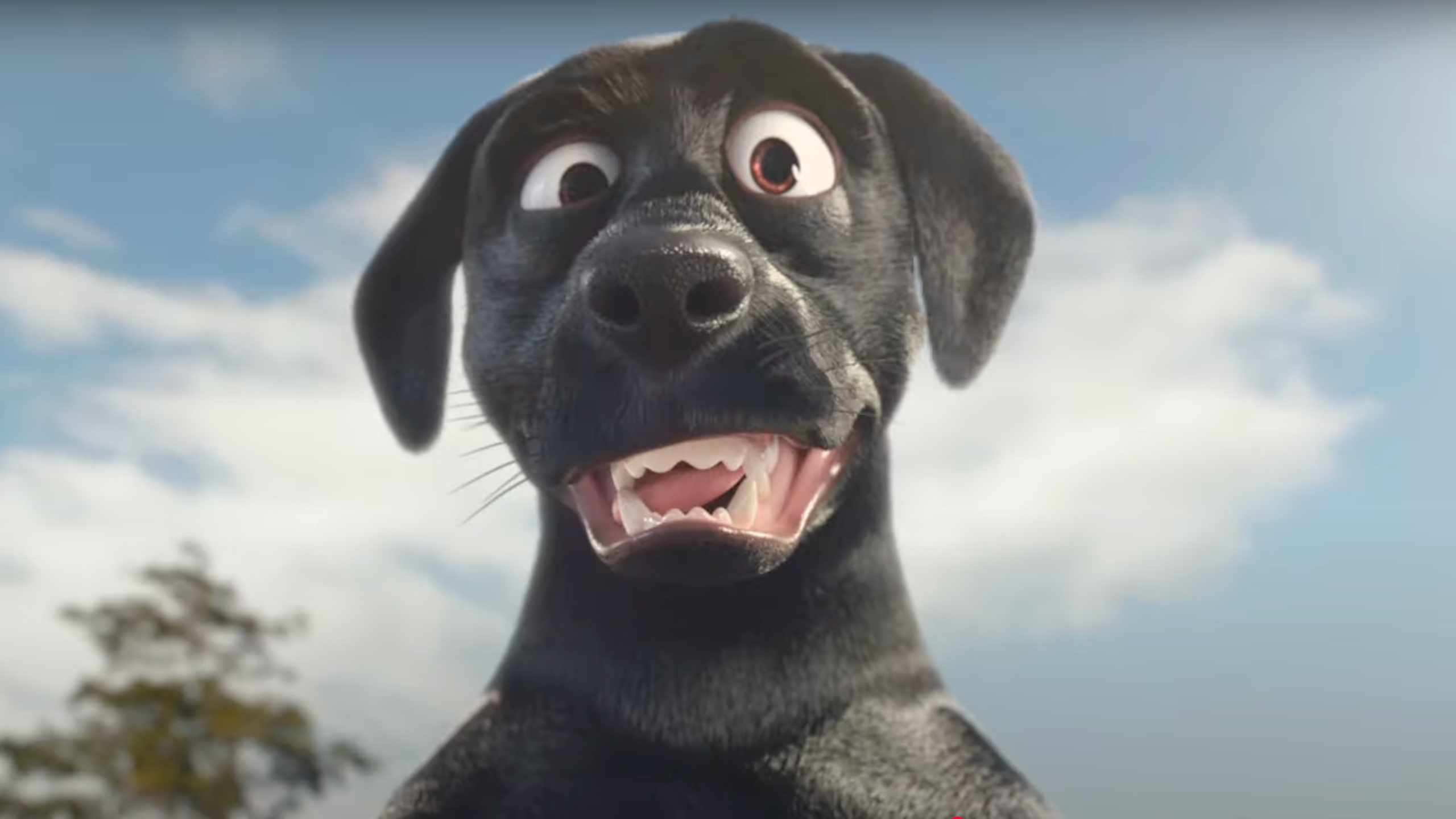 🐾 DOGGY DOG Goes Wild — 60 Million Views and Counting!