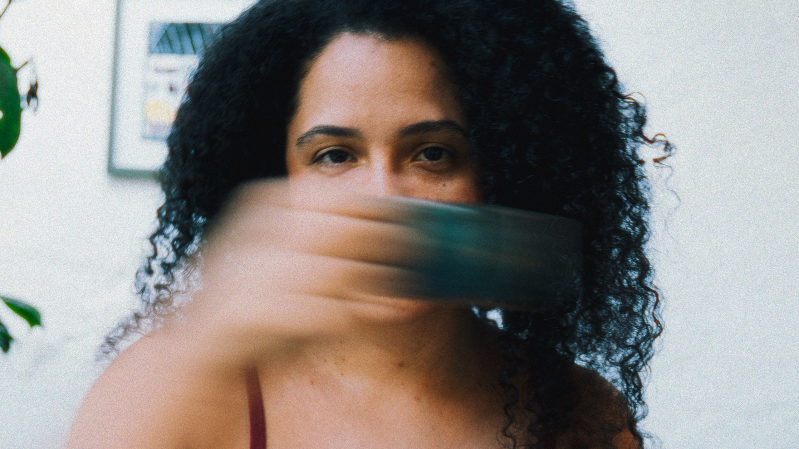 Casa Floresta | 2024