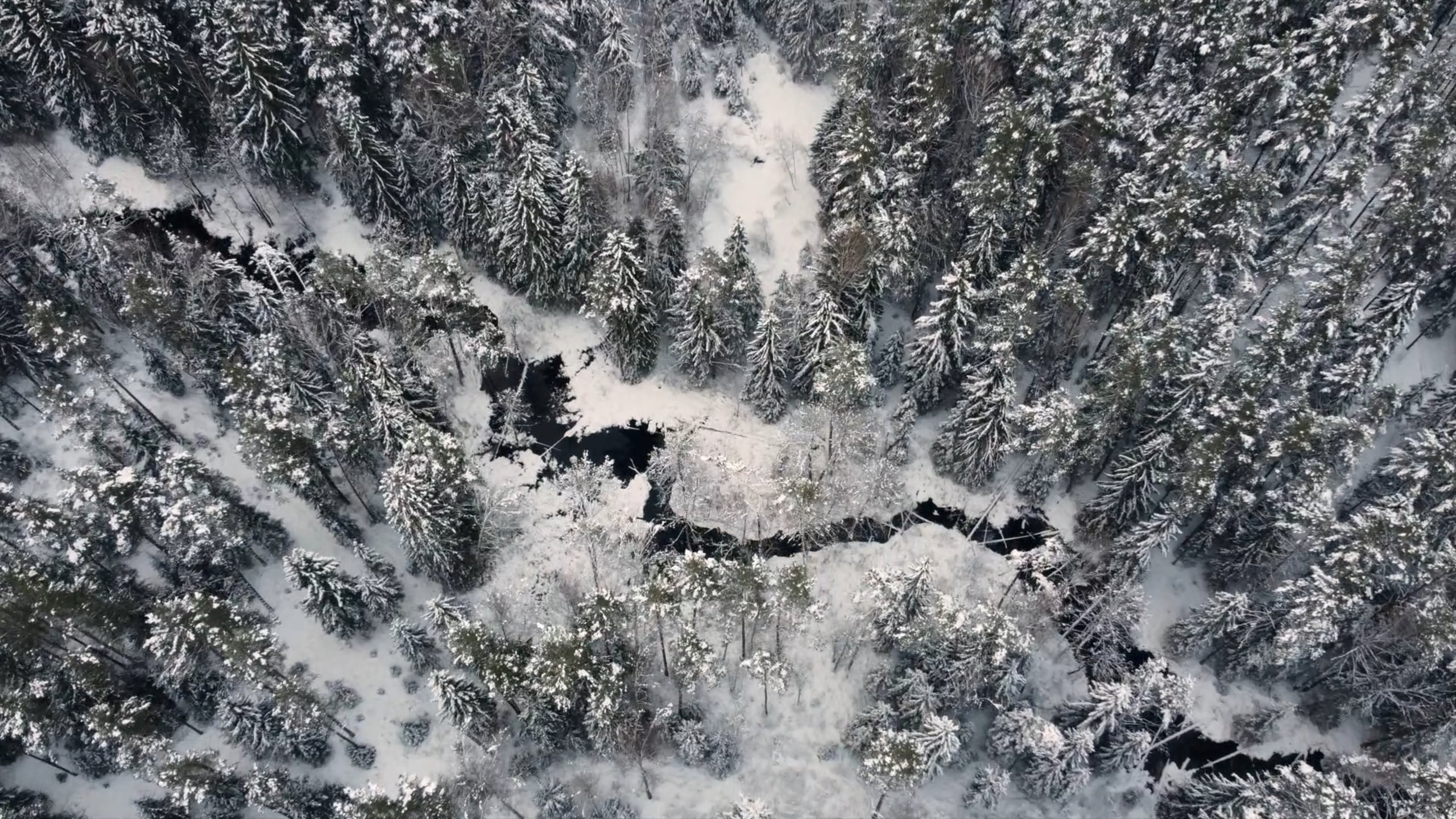 Видео. Макар Кириков — свадебный и семейный фотограф Даугавпилс, Рига, Вильну