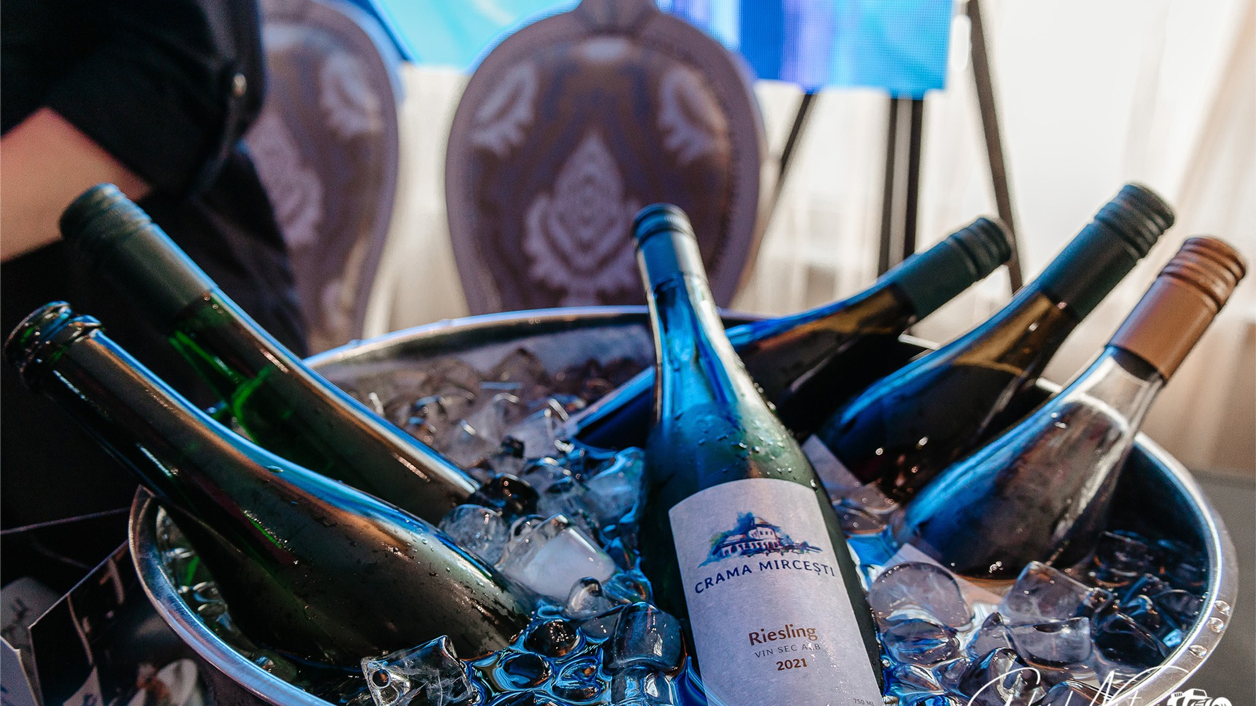 Corporate. Gabriel Nistor Art-Studios - Fotograf / Videograf Iasi