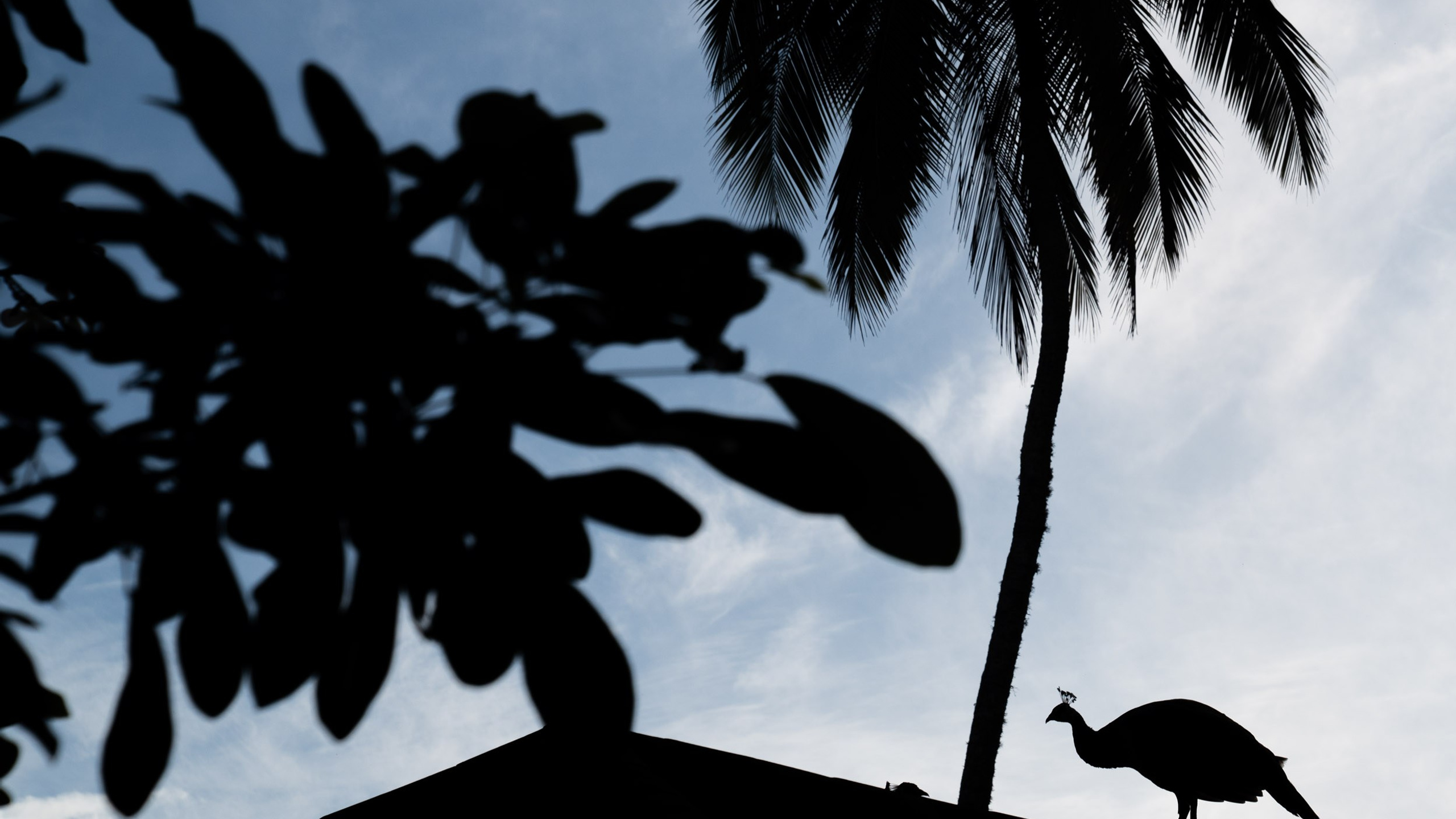 Carefree time at Sri Lanka