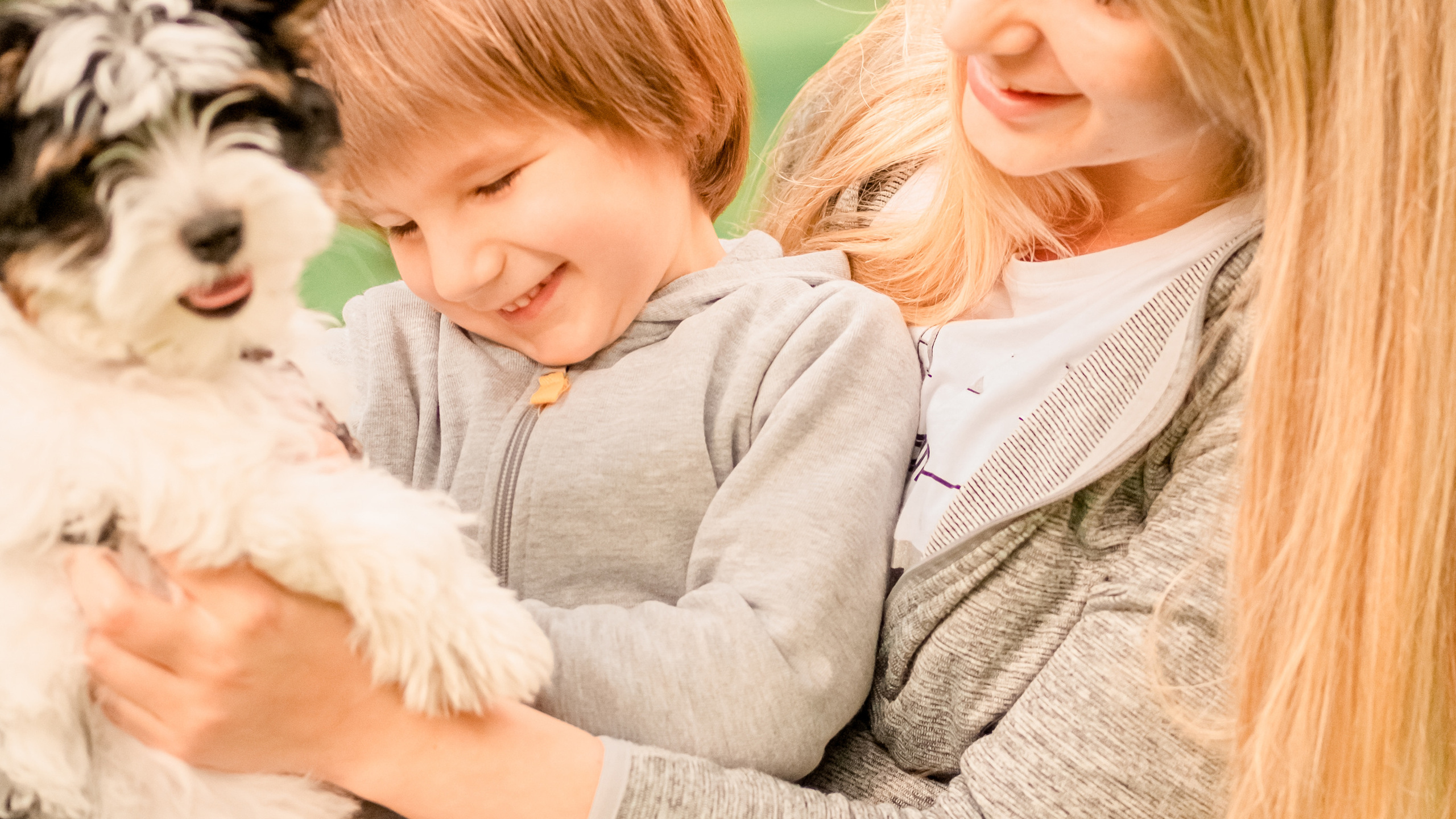 Прогулянка з песиком