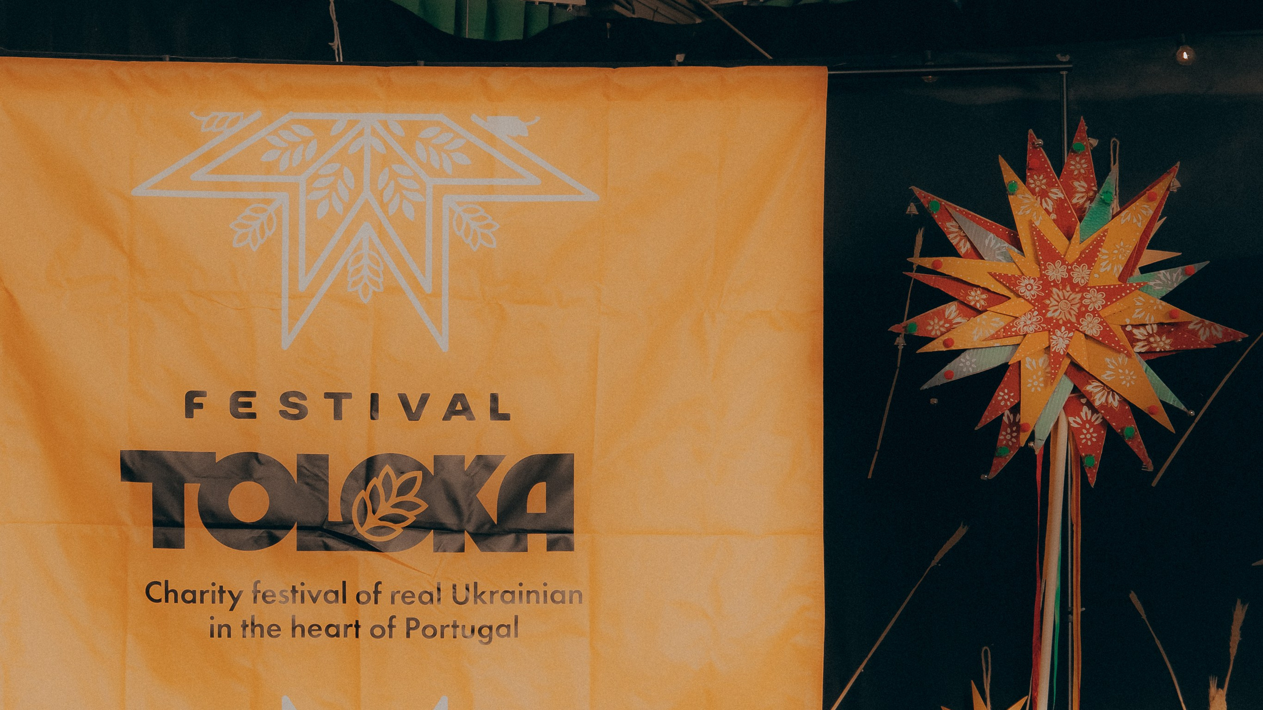 TOLOKA. Портрет за донат