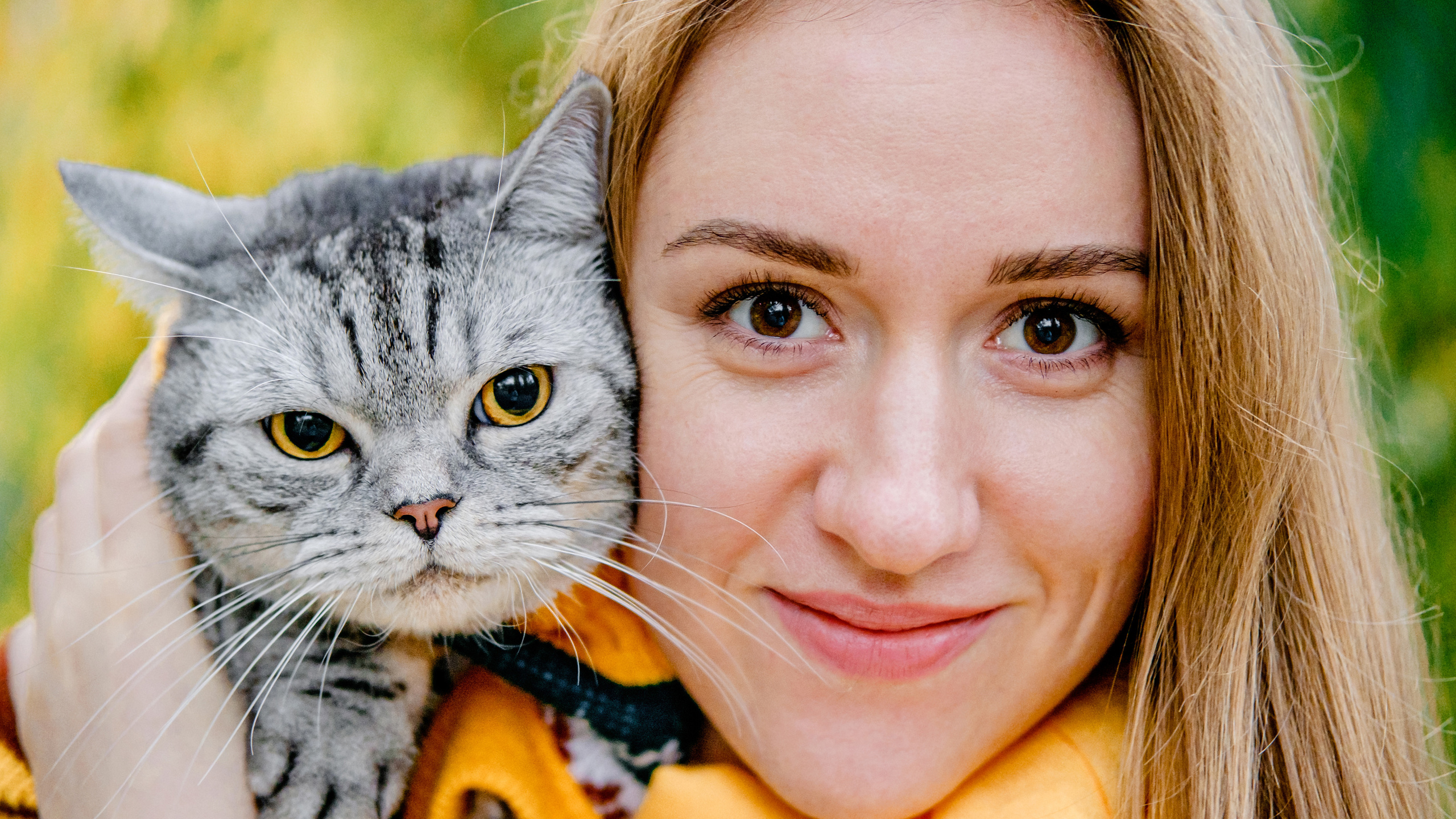 Котики також сімїя