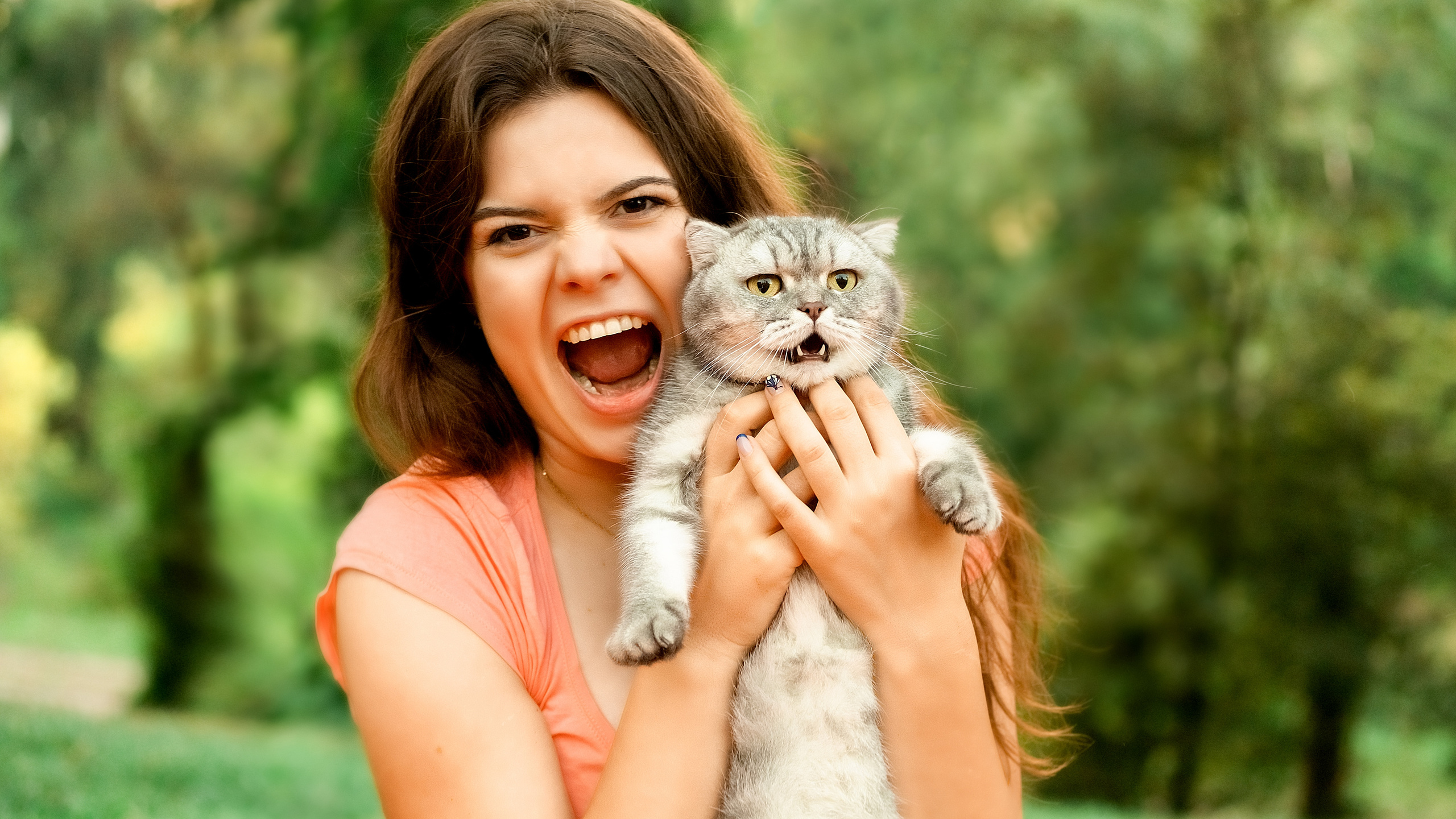 Я та моя улюблена Асоль