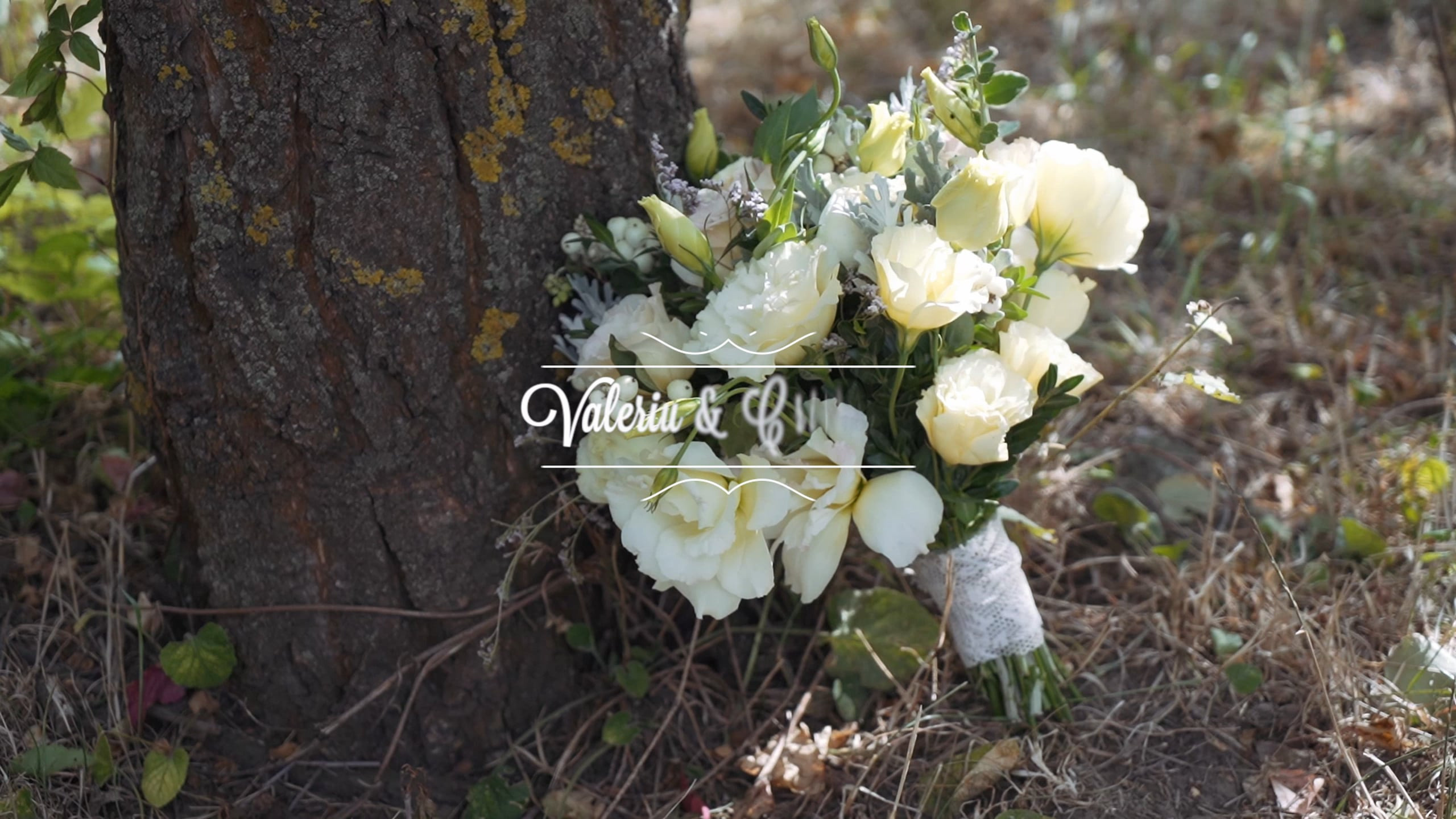 Video portfolio wed-film studio. Wed-Film studio — Фото-видео услуги на свадьбу в Молдове